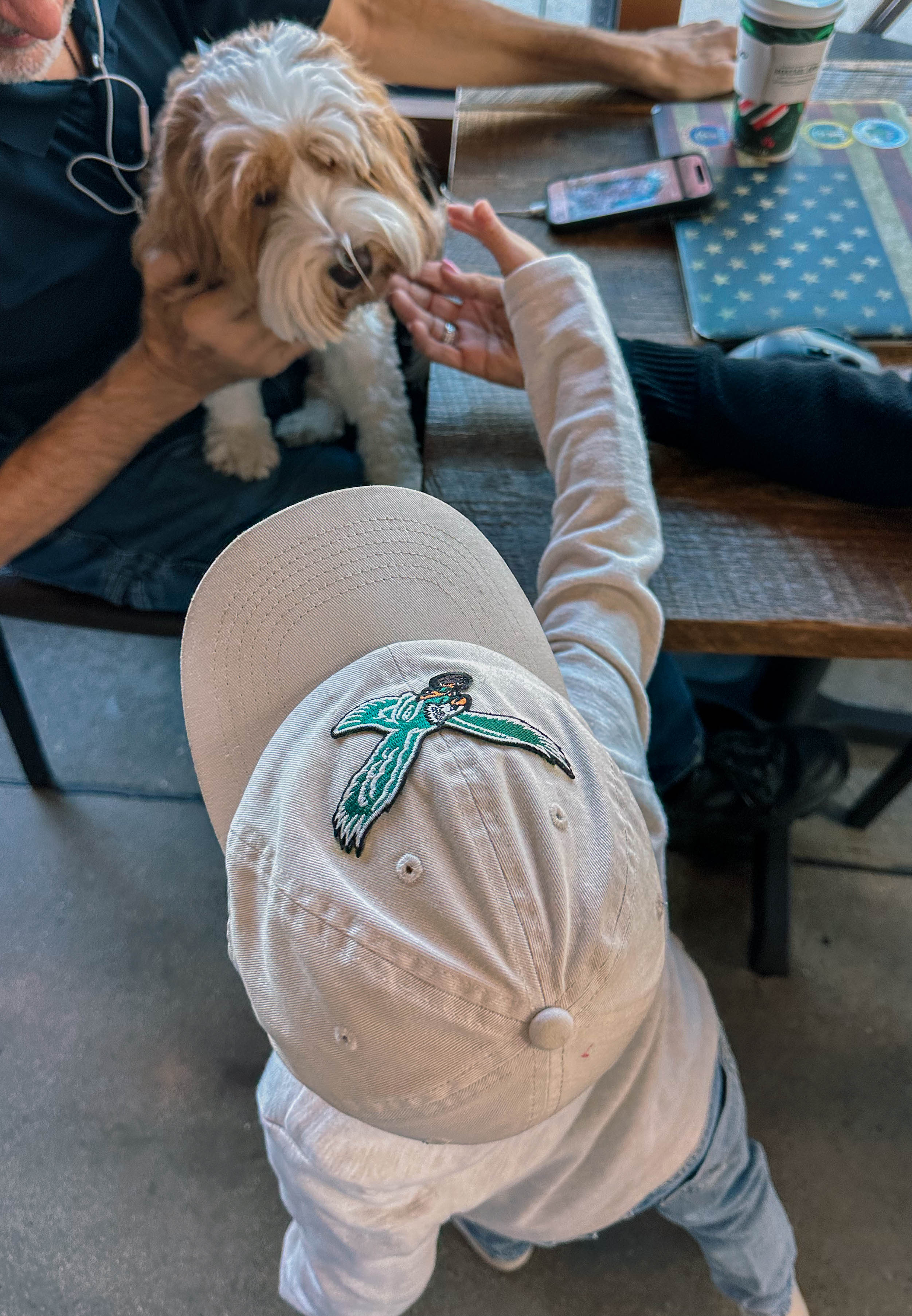 thanksgiving travel, venice florida, travel guide, florida, holidays