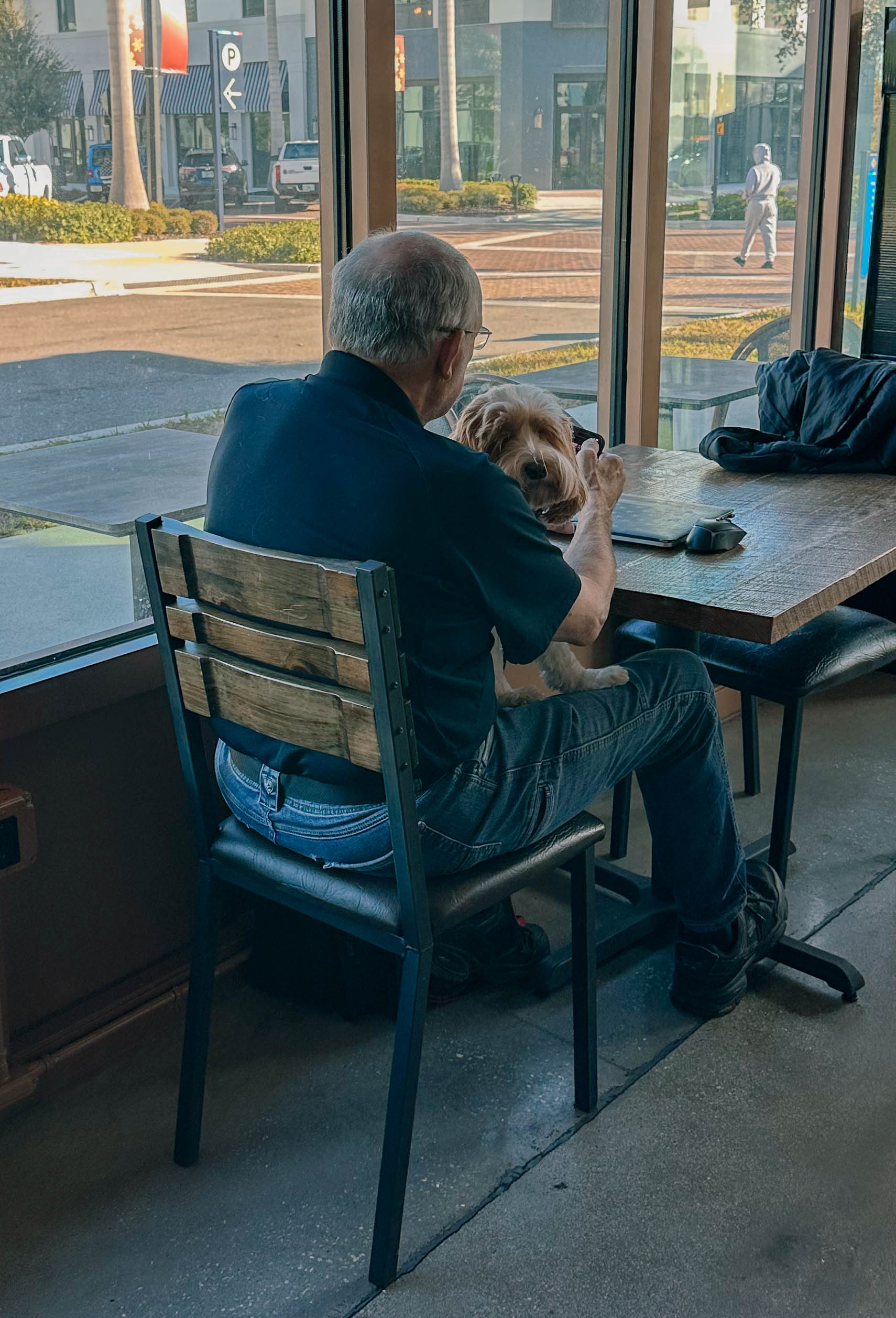 thanksgiving travel, venice florida, travel guide, florida, holidays