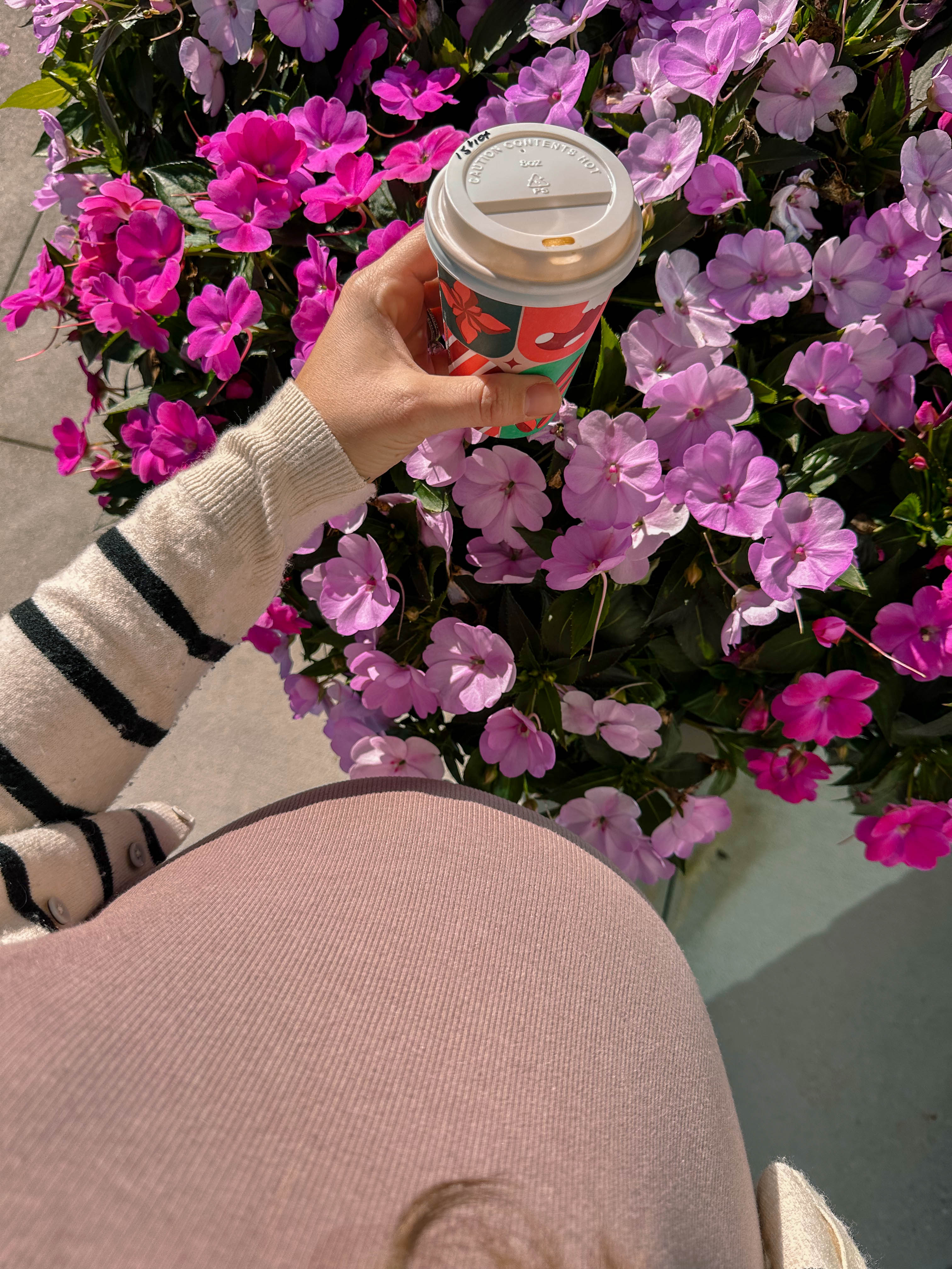 thanksgiving travel, venice florida, travel guide, florida, holidays