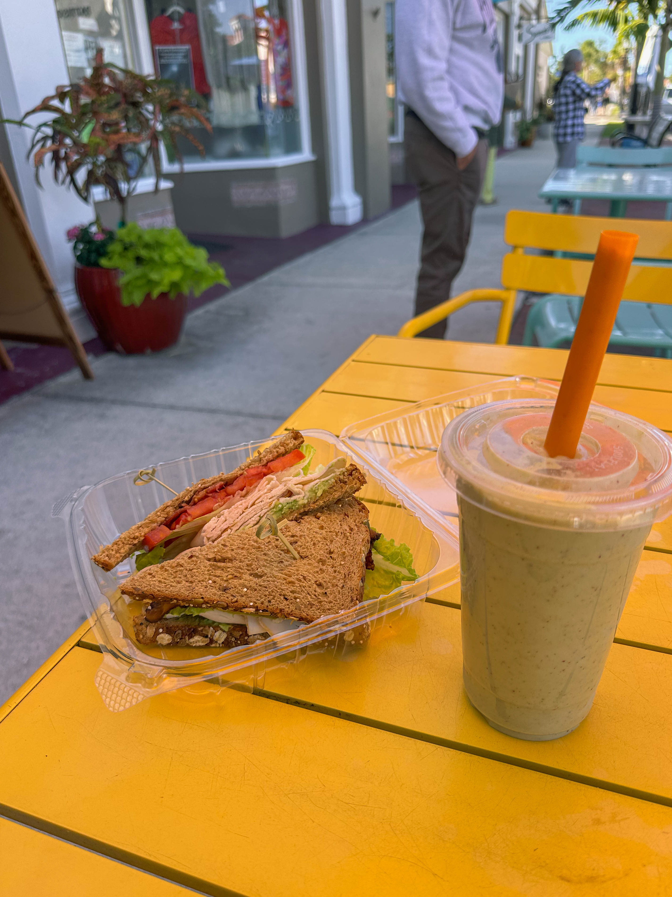 thanksgiving travel, venice florida, travel guide, florida, holidays