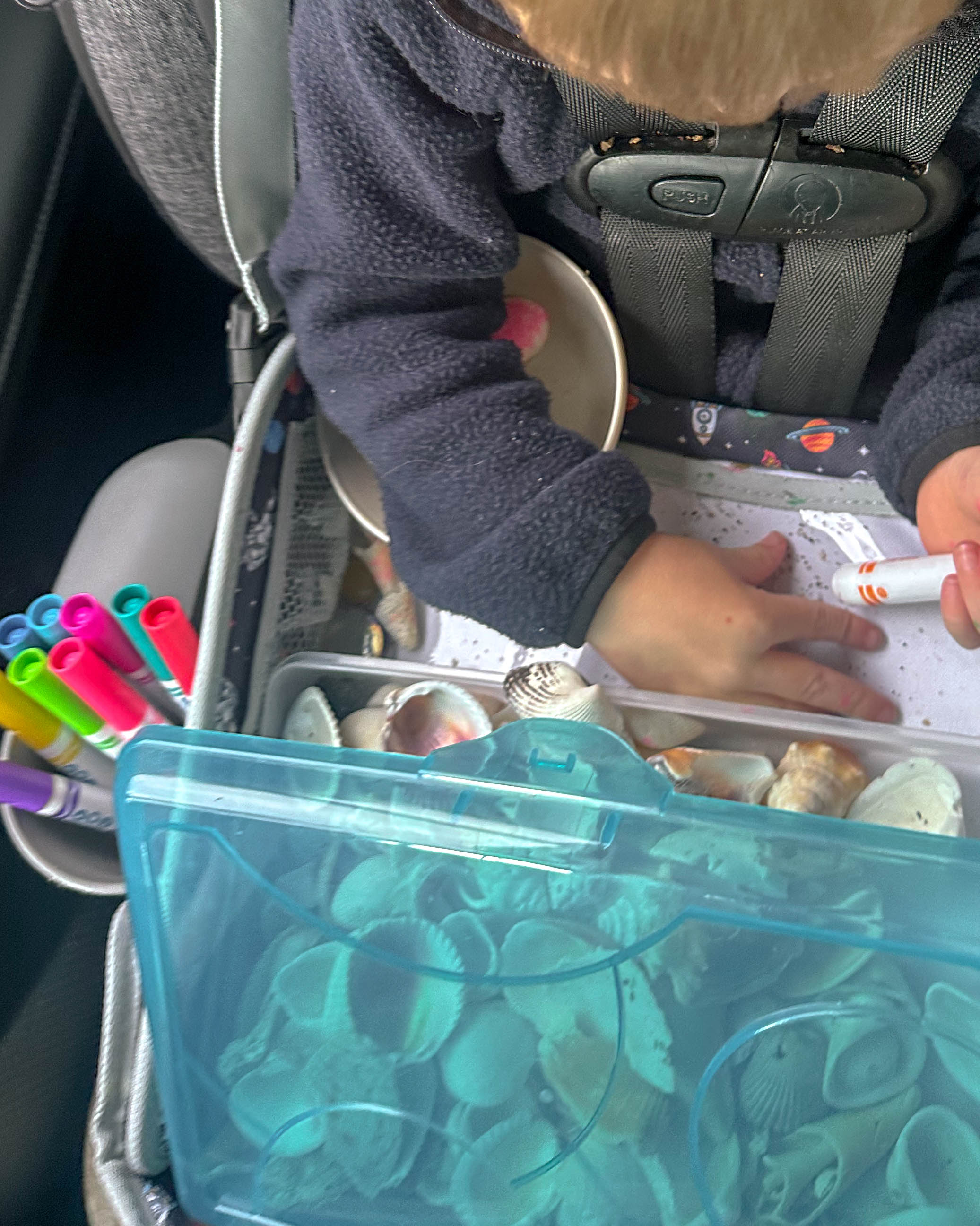 thanksgiving travel, venice florida, travel guide, florida, holidays