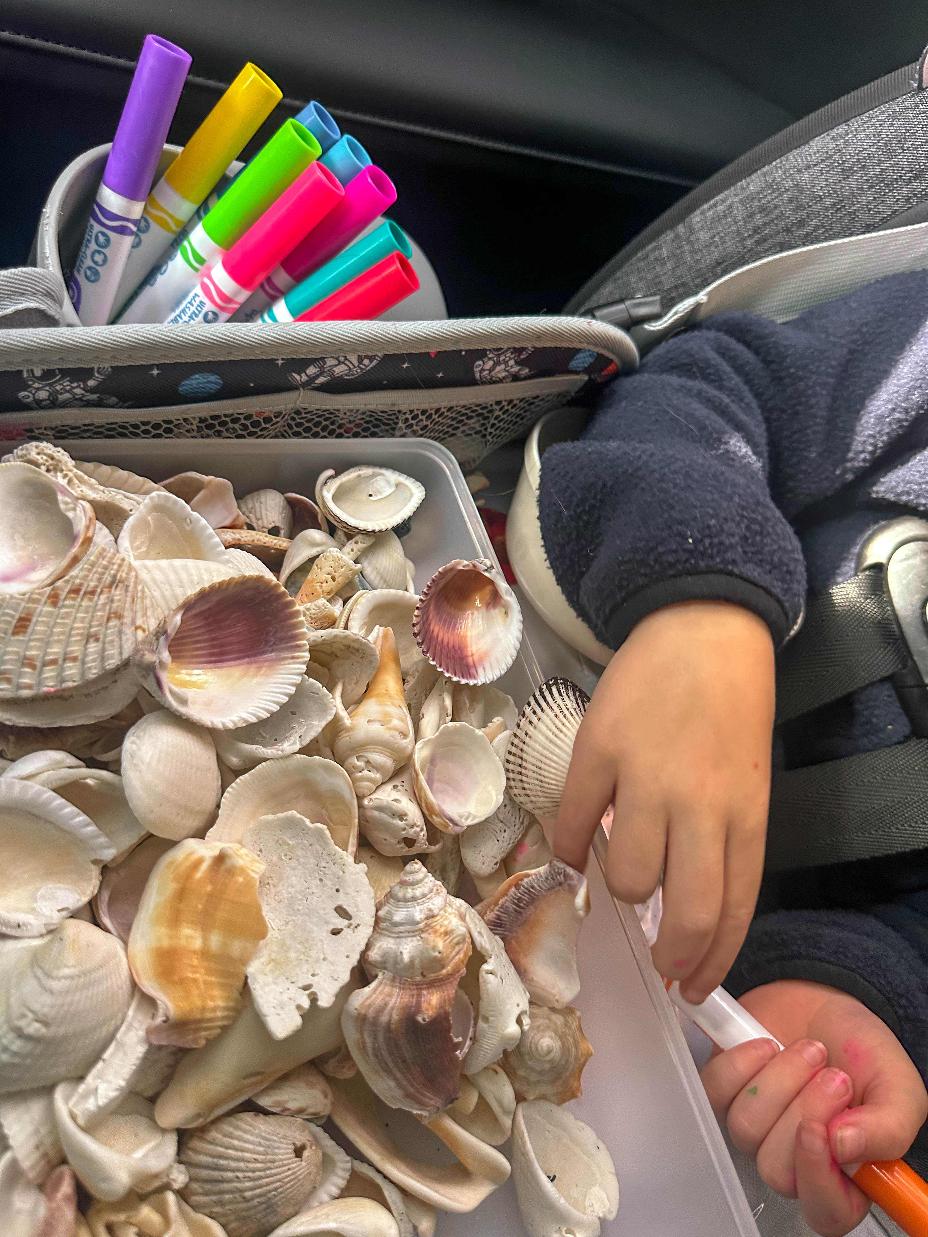 thanksgiving travel, venice florida, travel guide, florida, holidays