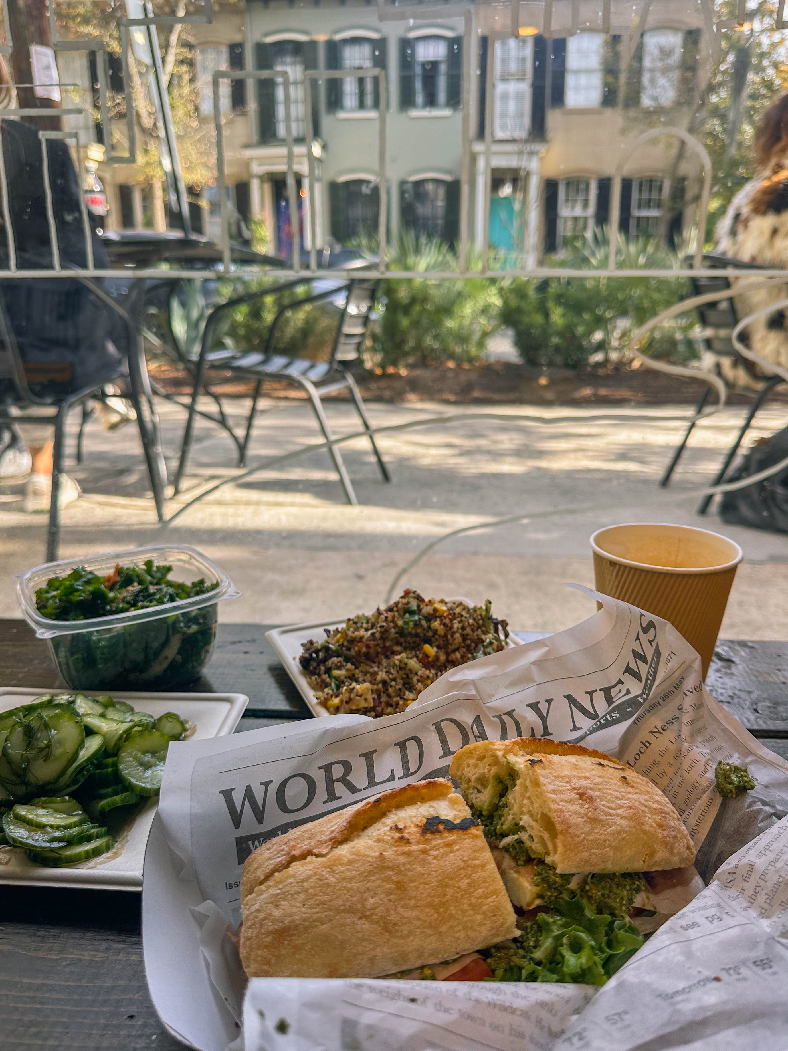 thanksgiving travel, venice florida, travel guide, florida, holidays, roadtrip, savannah, georgia