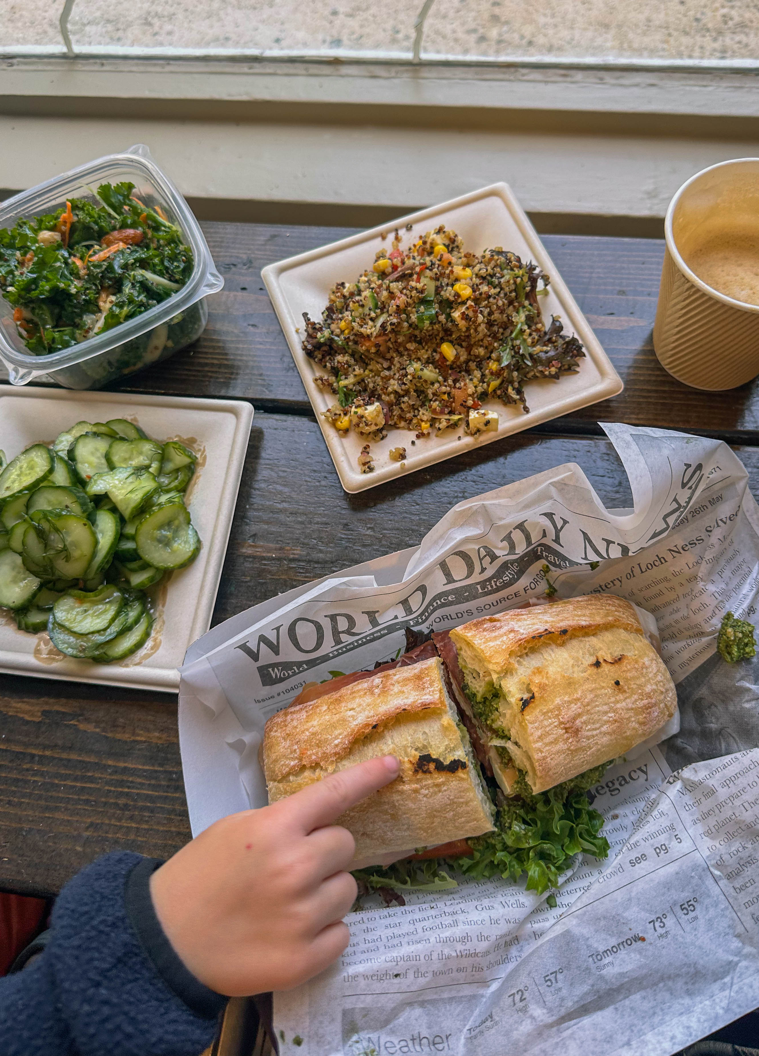 thanksgiving travel, venice florida, travel guide, florida, holidays, roadtrip, savannah, georgia