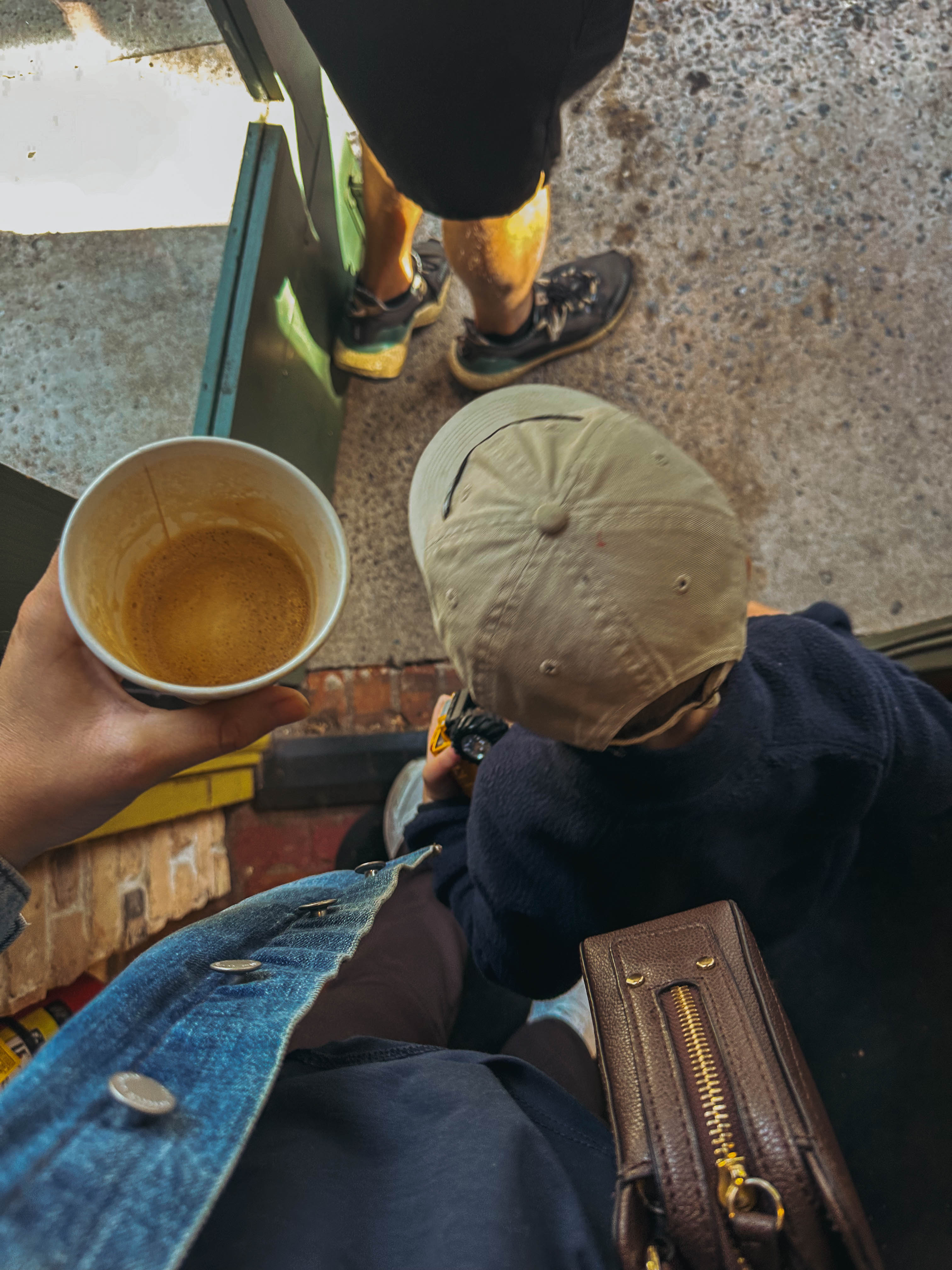 thanksgiving travel, venice florida, travel guide, florida, holidays, roadtrip, savannah, georgia