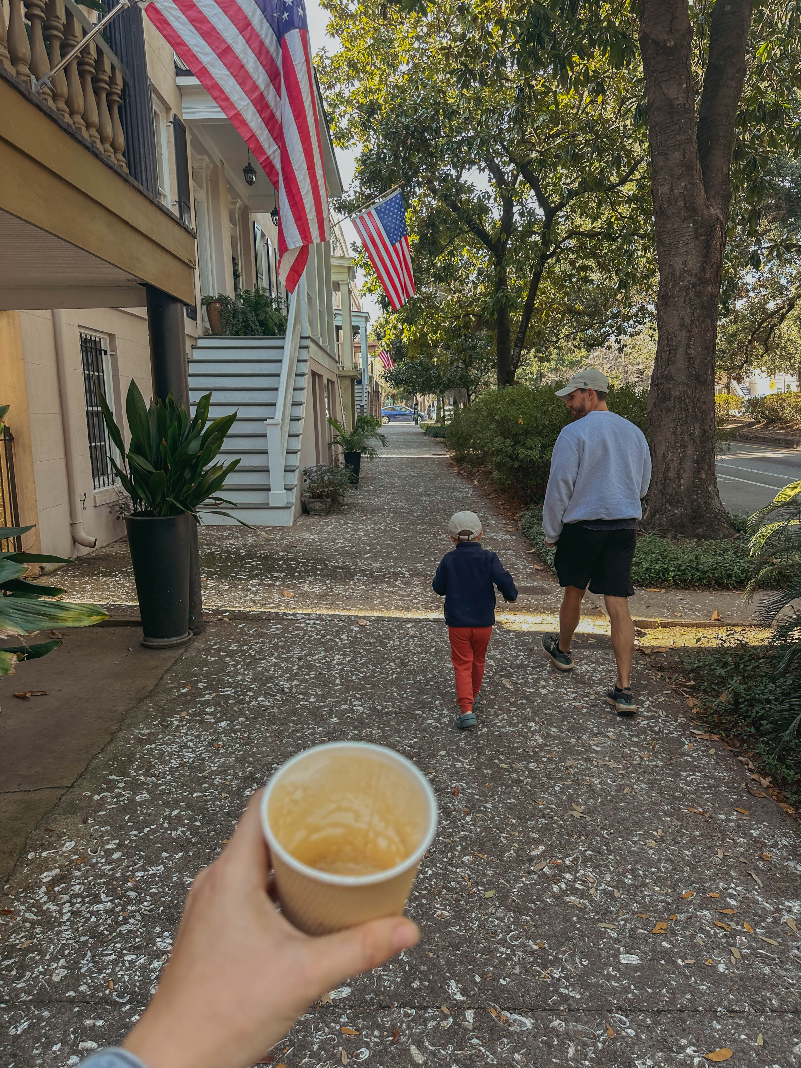 thanksgiving travel, venice florida, travel guide, florida, holidays, roadtrip, savannah, georgia