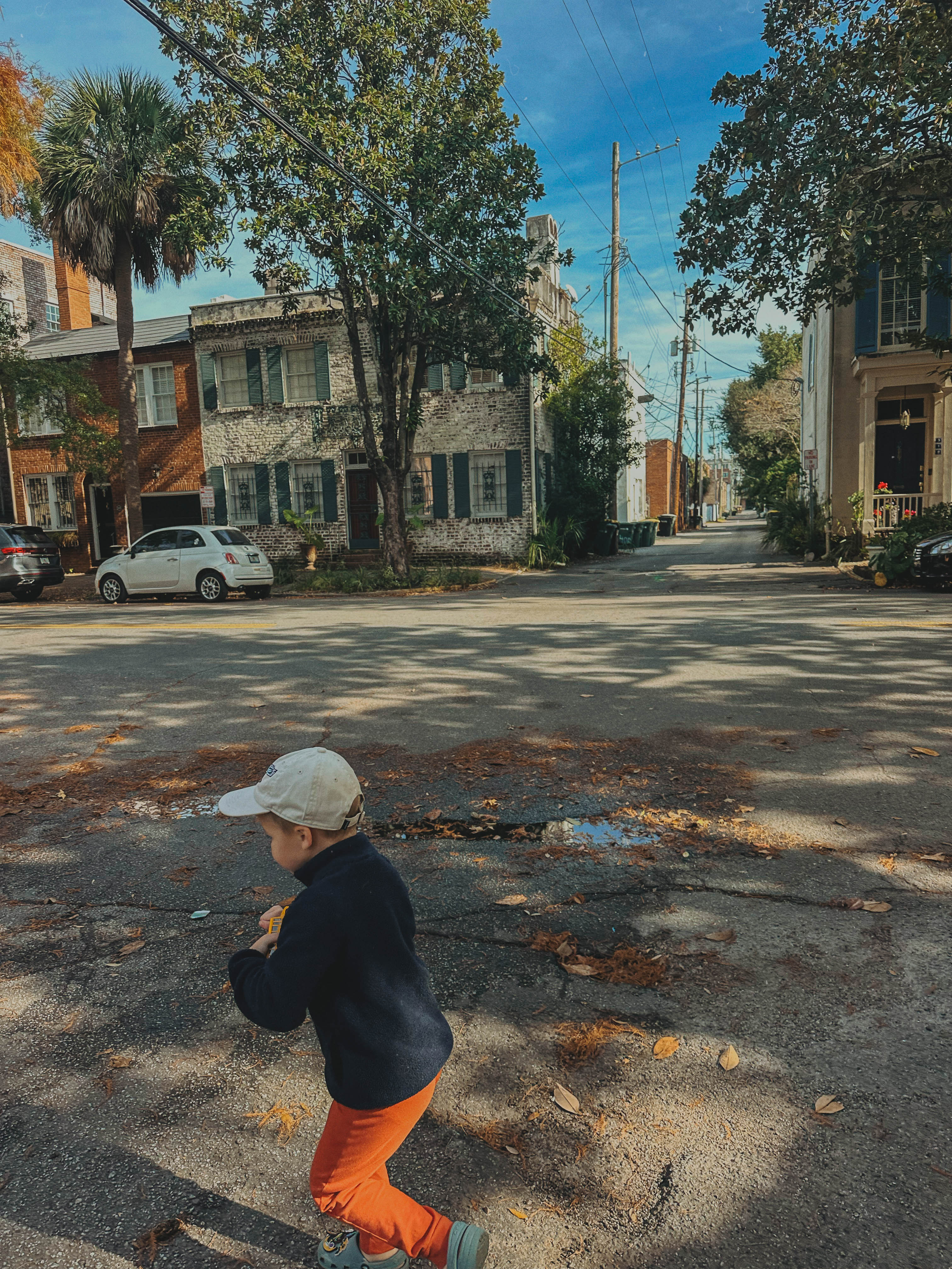 thanksgiving travel, venice florida, travel guide, florida, holidays, roadtrip, savannah, georgia