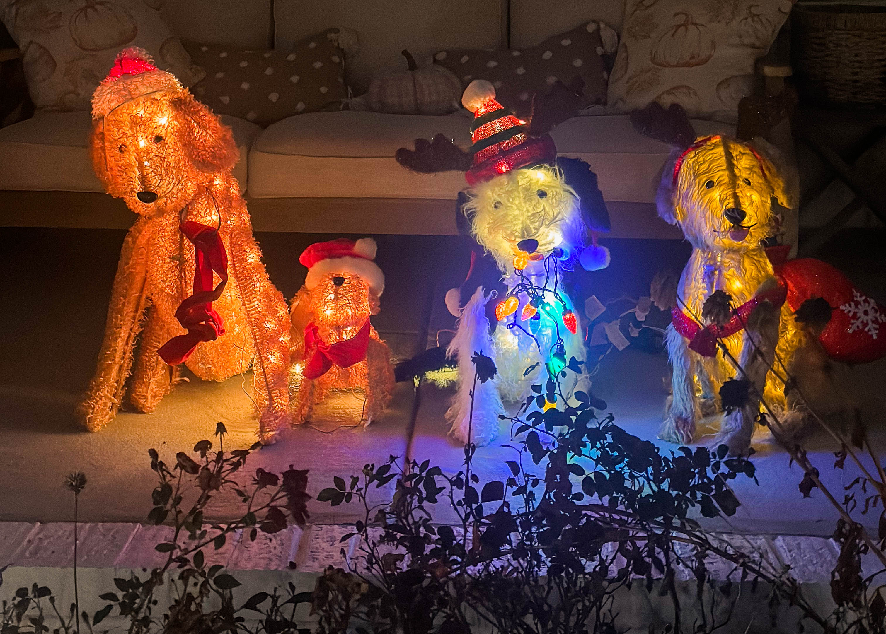 polar express, north carolina transportation museum, matching family pajamas, belk, the polar express train ride, charlotte north carolina, blog, motherhood, lifestyle