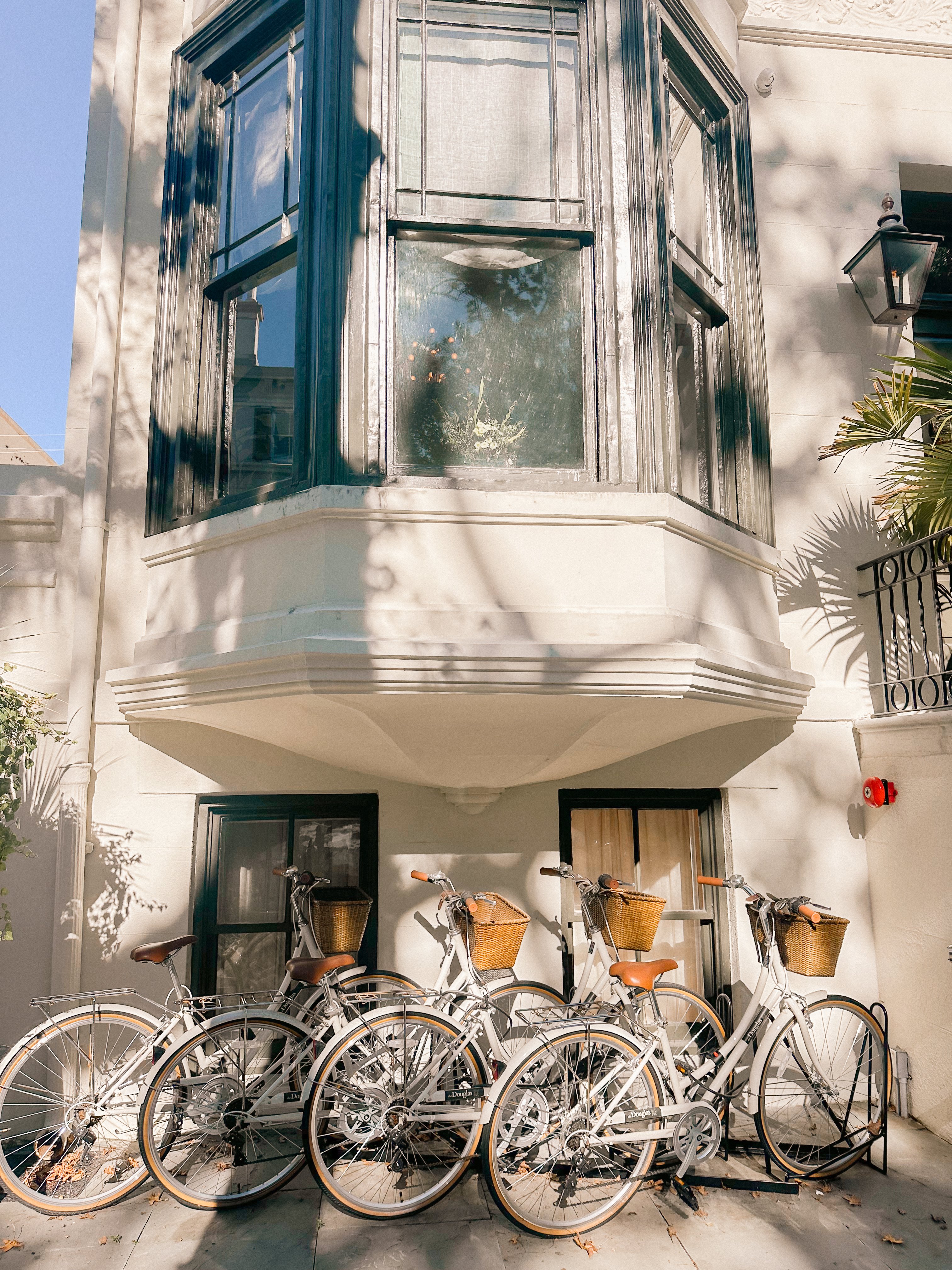 Lowcountry with lexus, savannha georiga, lexus cars, lexusus, TX 500h F Sport AWD, cars, roadtrip, suvs, travel guide, georgia, collins quarter, hotel bardo, where to stay, savannah bed and breakfast, flora and fauna, riverstreet, savannah walking tour