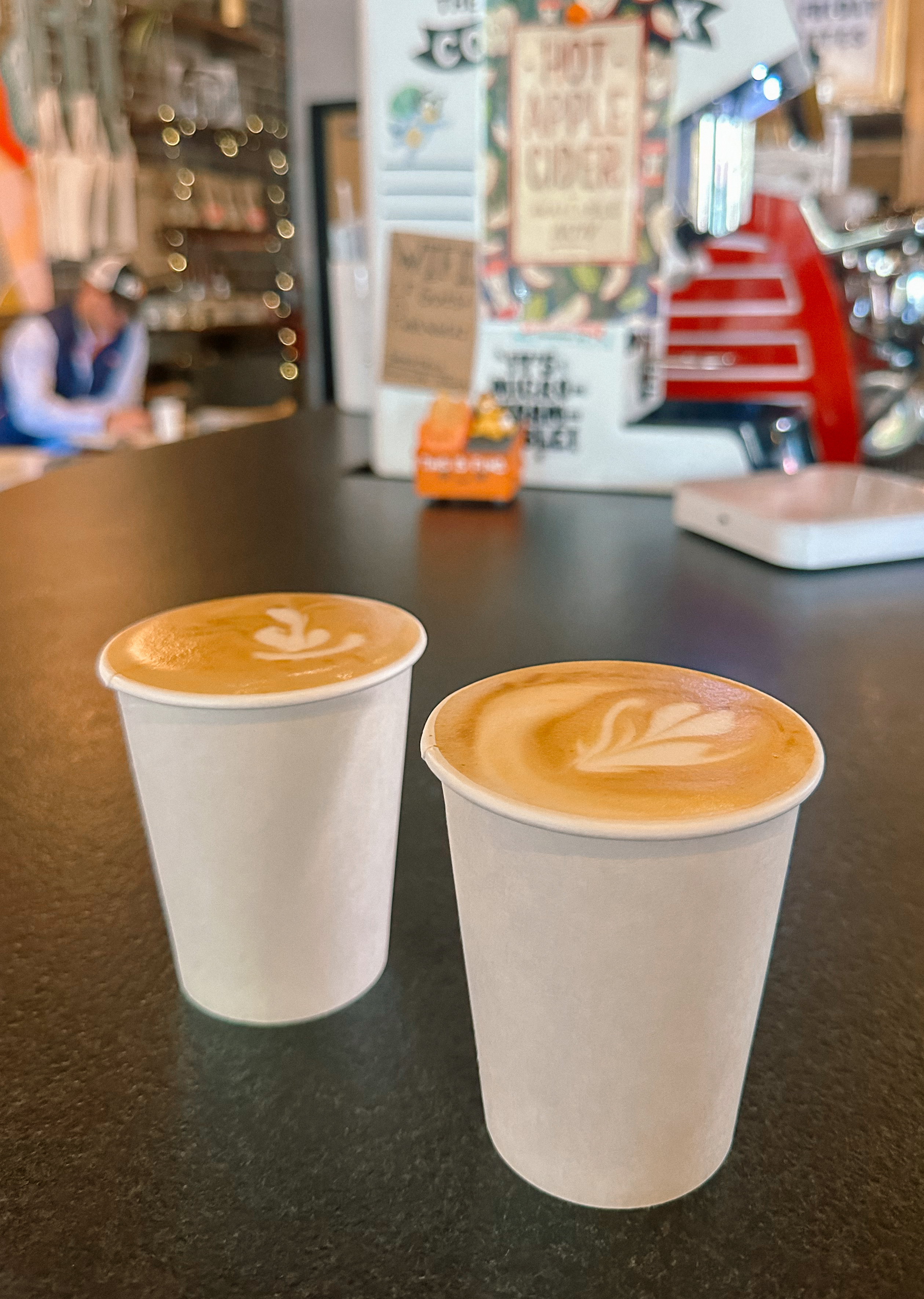 Lowcountry with lexus, savannha georiga, lexus cars, lexusus, TX 500h F Sport AWD, cars, roadtrip, suvs, travel guide, georgia, collins quarter