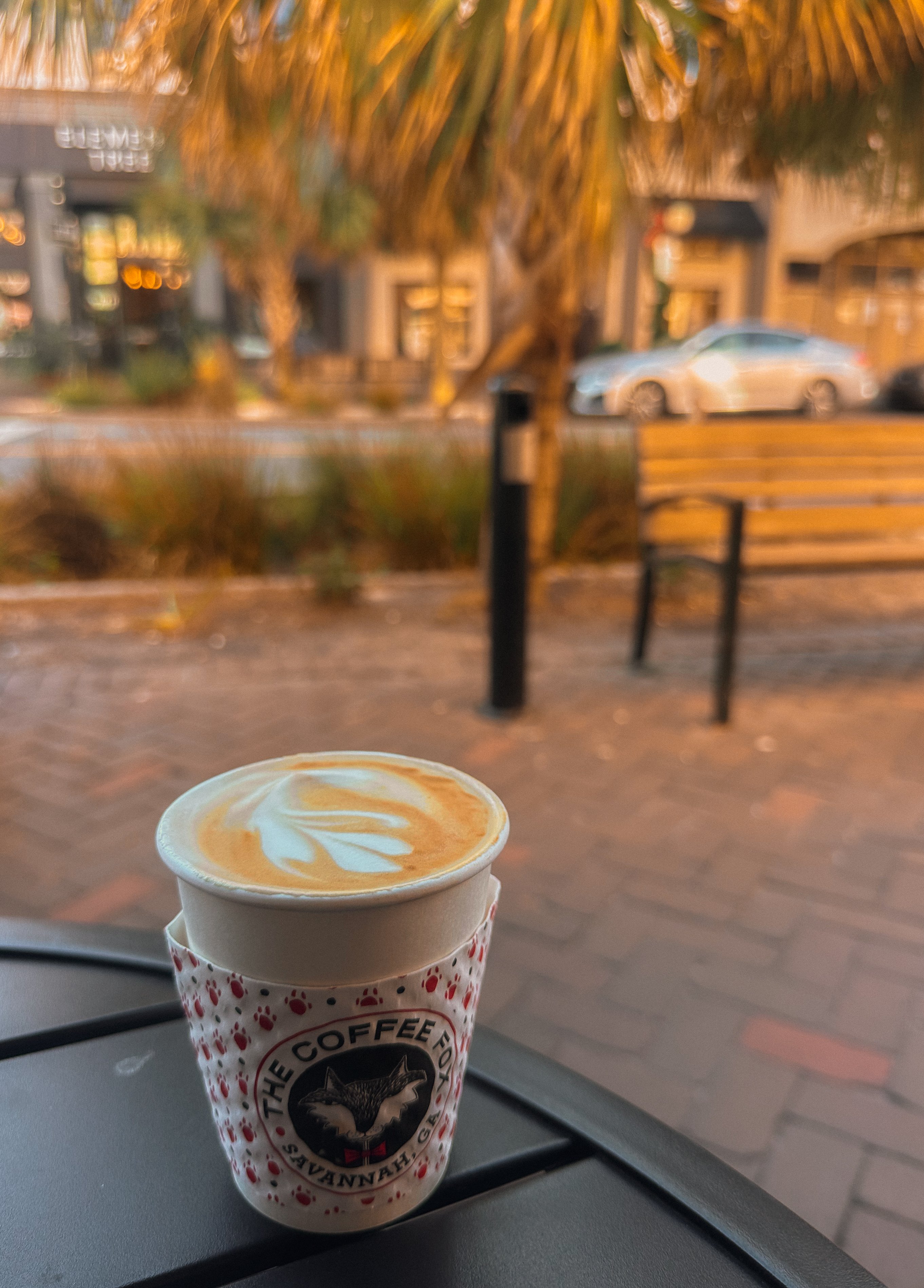 Lowcountry with lexus, savannha georiga, lexus cars, lexusus, TX 500h F Sport AWD, cars, roadtrip, suvs, travel guide, georgia, collins quarter