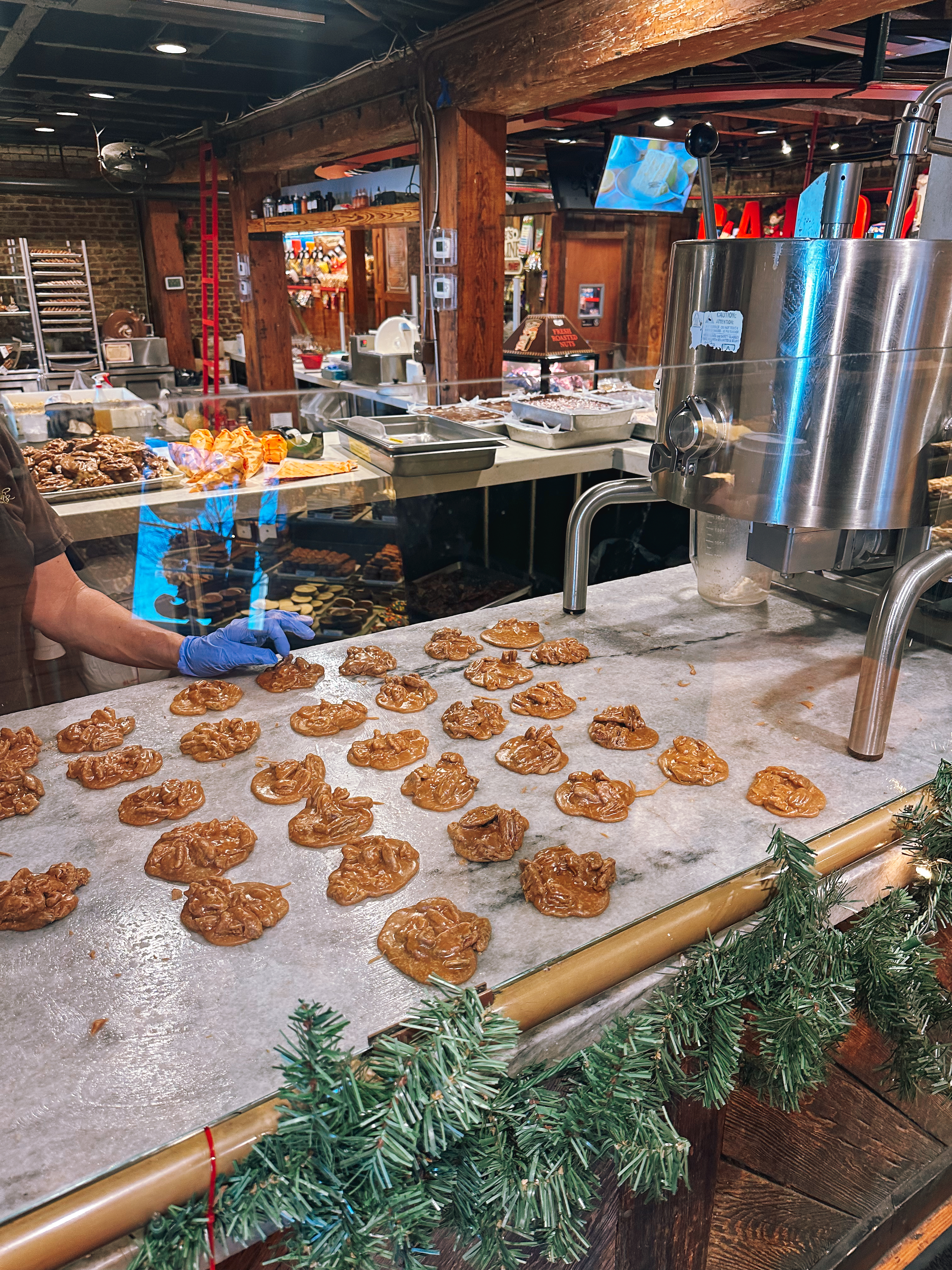 Lowcountry with lexus, savannha georiga, lexus cars, lexusus, TX 500h F Sport AWD, cars, roadtrip, suvs, travel guide, georgia, collins quarter, hotel bardo, where to stay, savannah bed and breakfast, flora and fauna, riverstreet