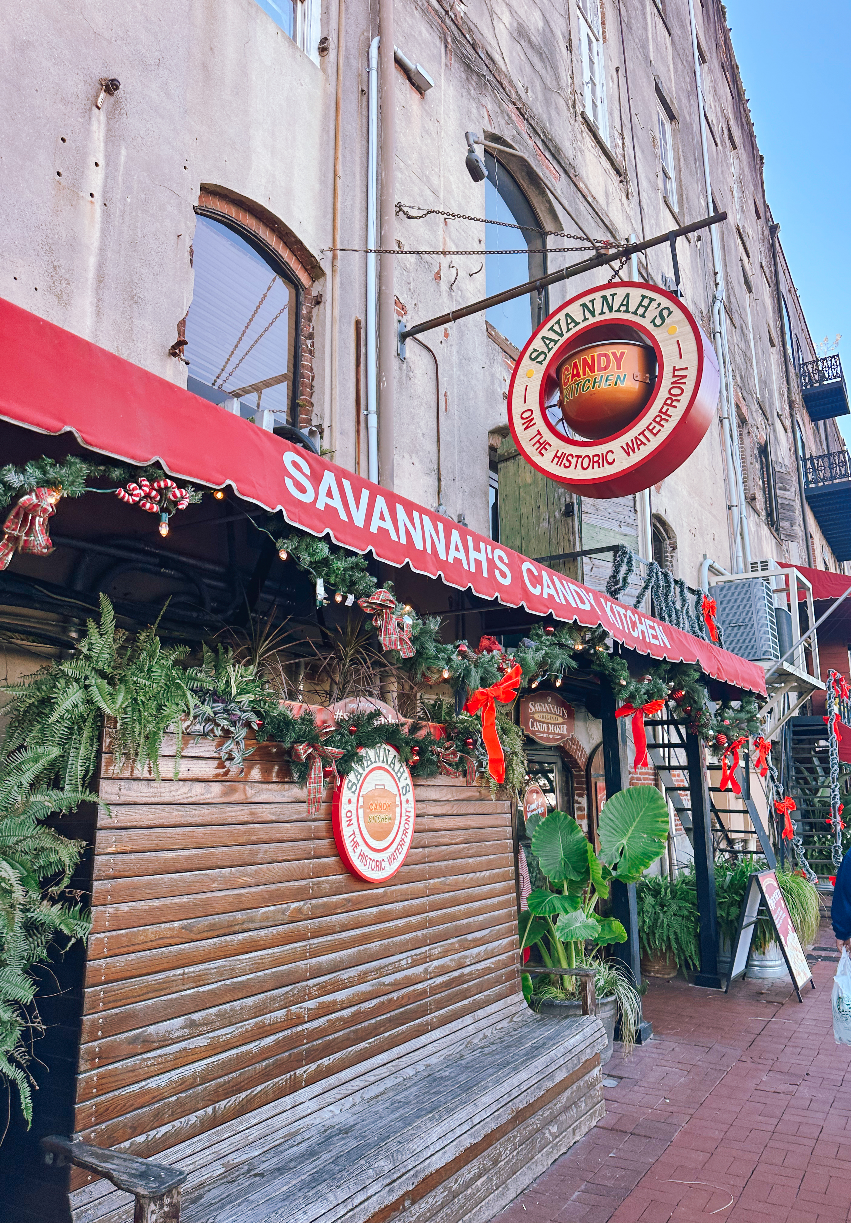 Lowcountry with lexus, savannha georiga, lexus cars, lexusus, TX 500h F Sport AWD, cars, roadtrip, suvs, travel guide, georgia, collins quarter, hotel bardo, where to stay, savannah bed and breakfast, flora and fauna, riverstreet