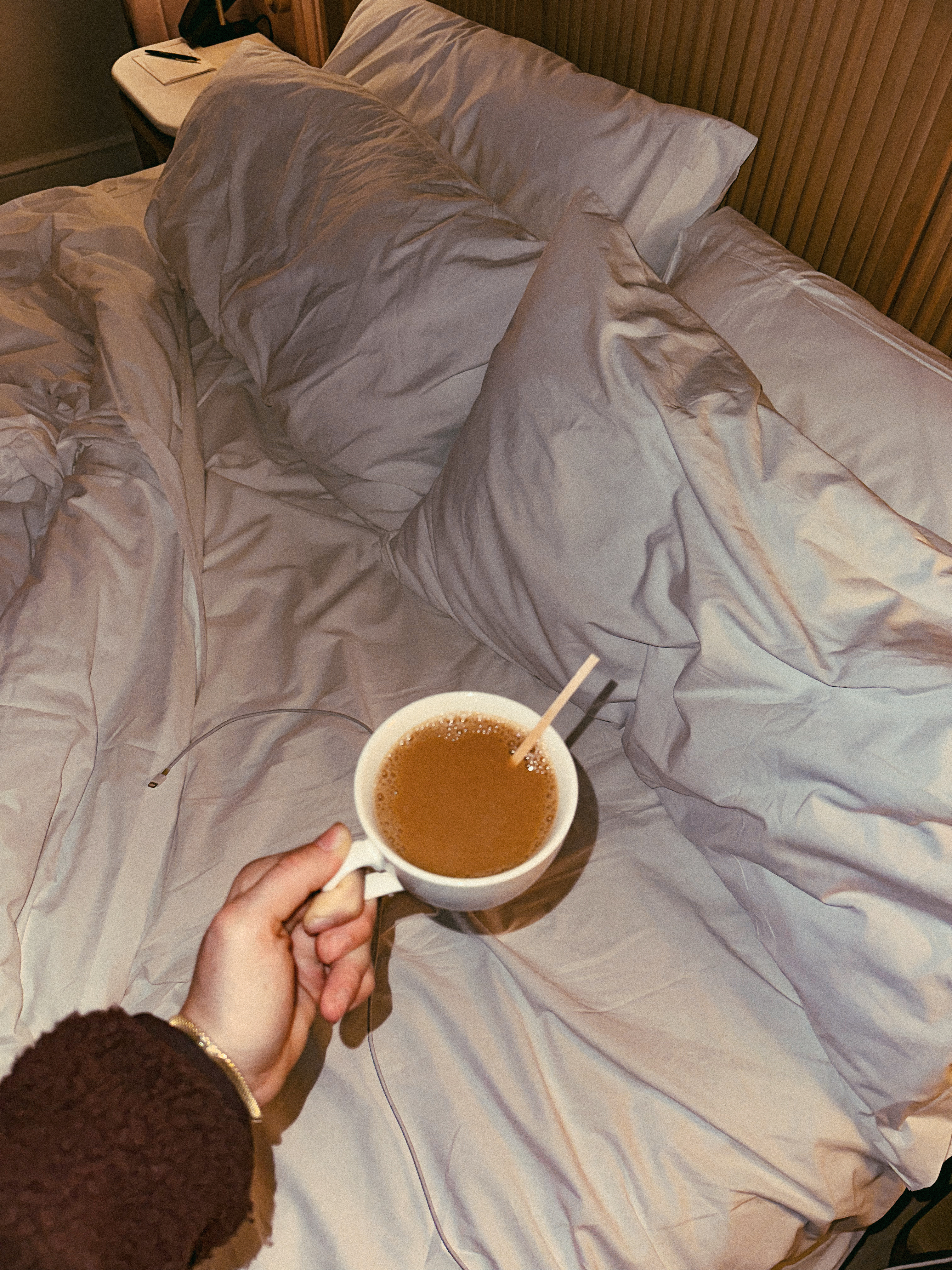 Lowcountry with lexus, savannha georiga, lexus cars, lexusus, TX 500h F Sport AWD, cars, roadtrip, suvs, travel guide, georgia, collins quarter, hotel bardo, where to stay, savannah bed and breakfast