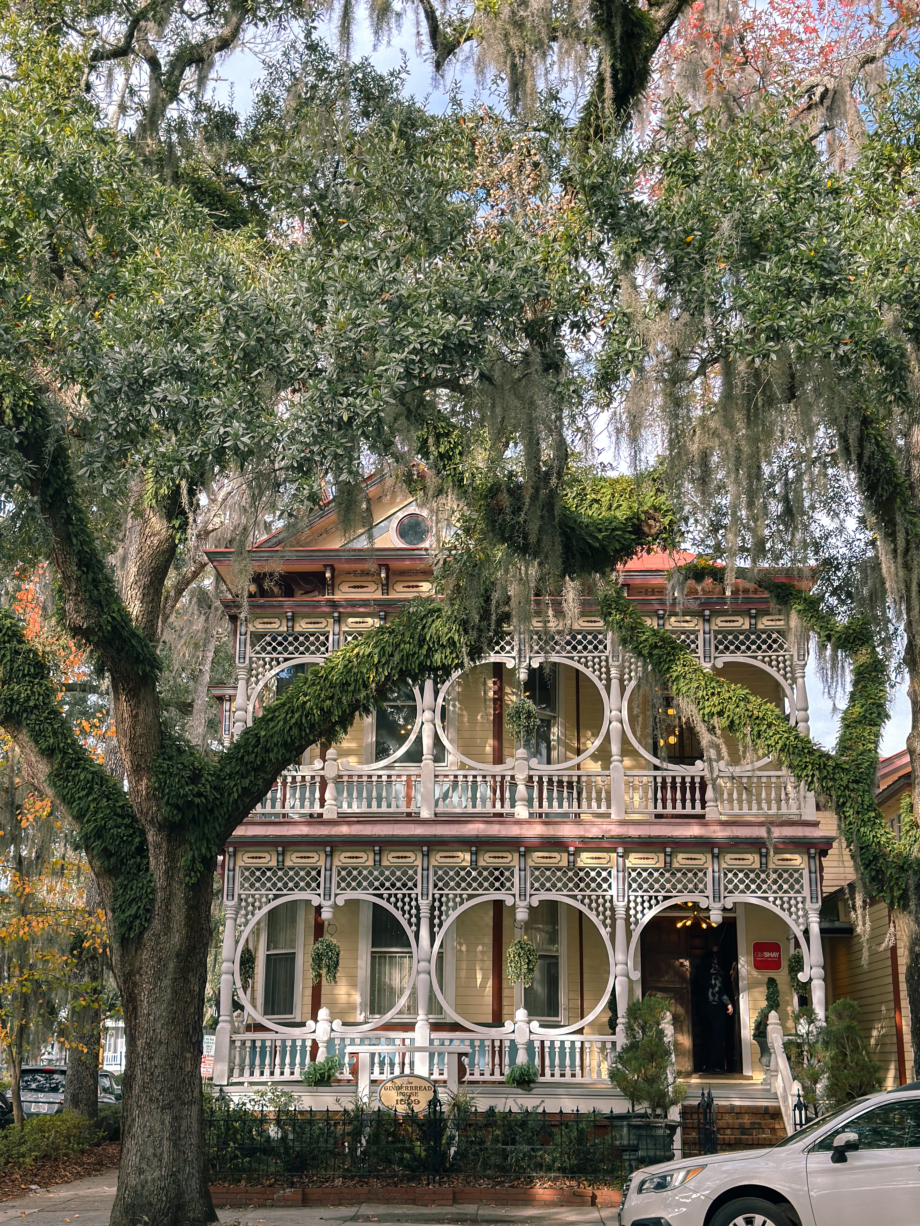 Lowcountry with lexus, savannha georiga, lexus cars, lexusus, TX 500h F Sport AWD, cars, roadtrip, suvs, travel guide, georgia, collins quarter, hotel bardo, where to stay, savannah bed and breakfast, flora and fauna, riverstreet