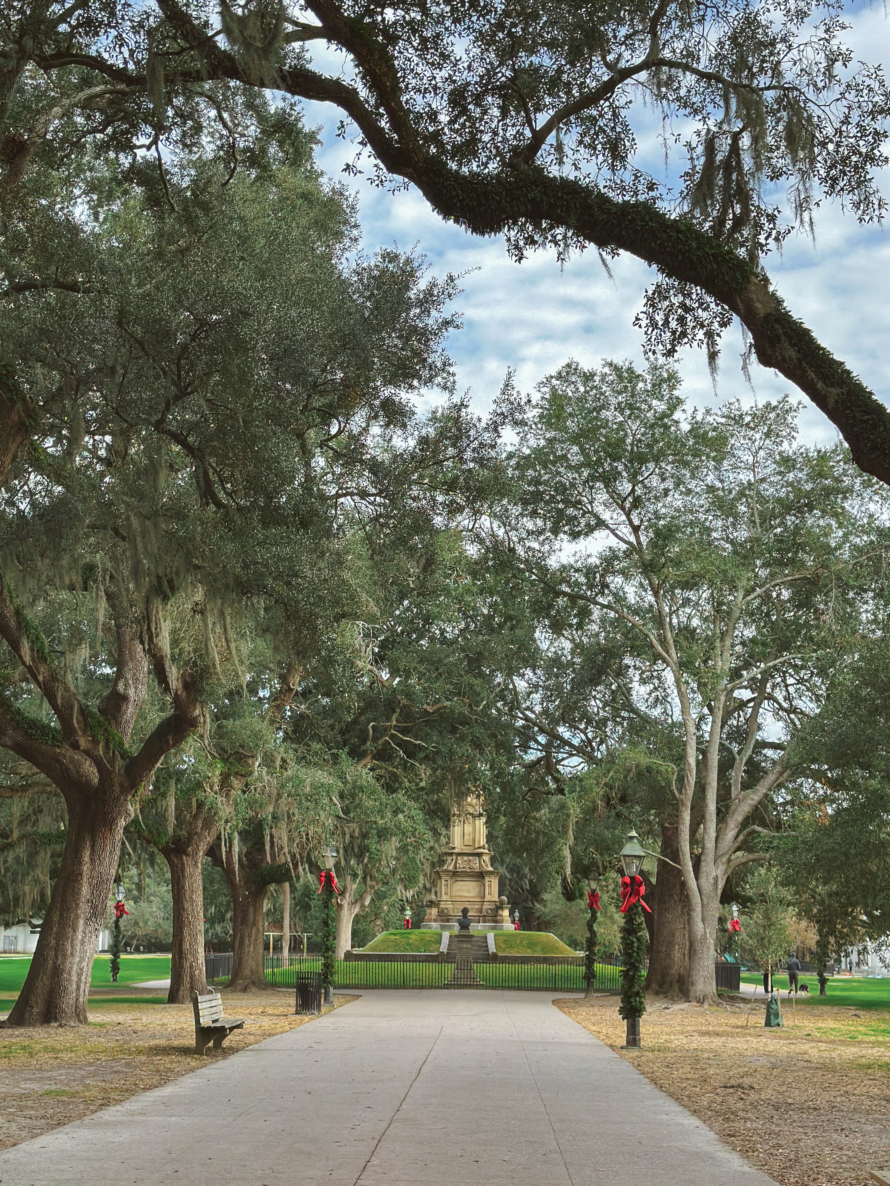 Lowcountry with lexus, savannha georiga, lexus cars, lexusus, TX 500h F Sport AWD, cars, roadtrip, suvs, travel guide, georgia, collins quarter, hotel bardo, where to stay, savannah bed and breakfast, flora and fauna, riverstreet