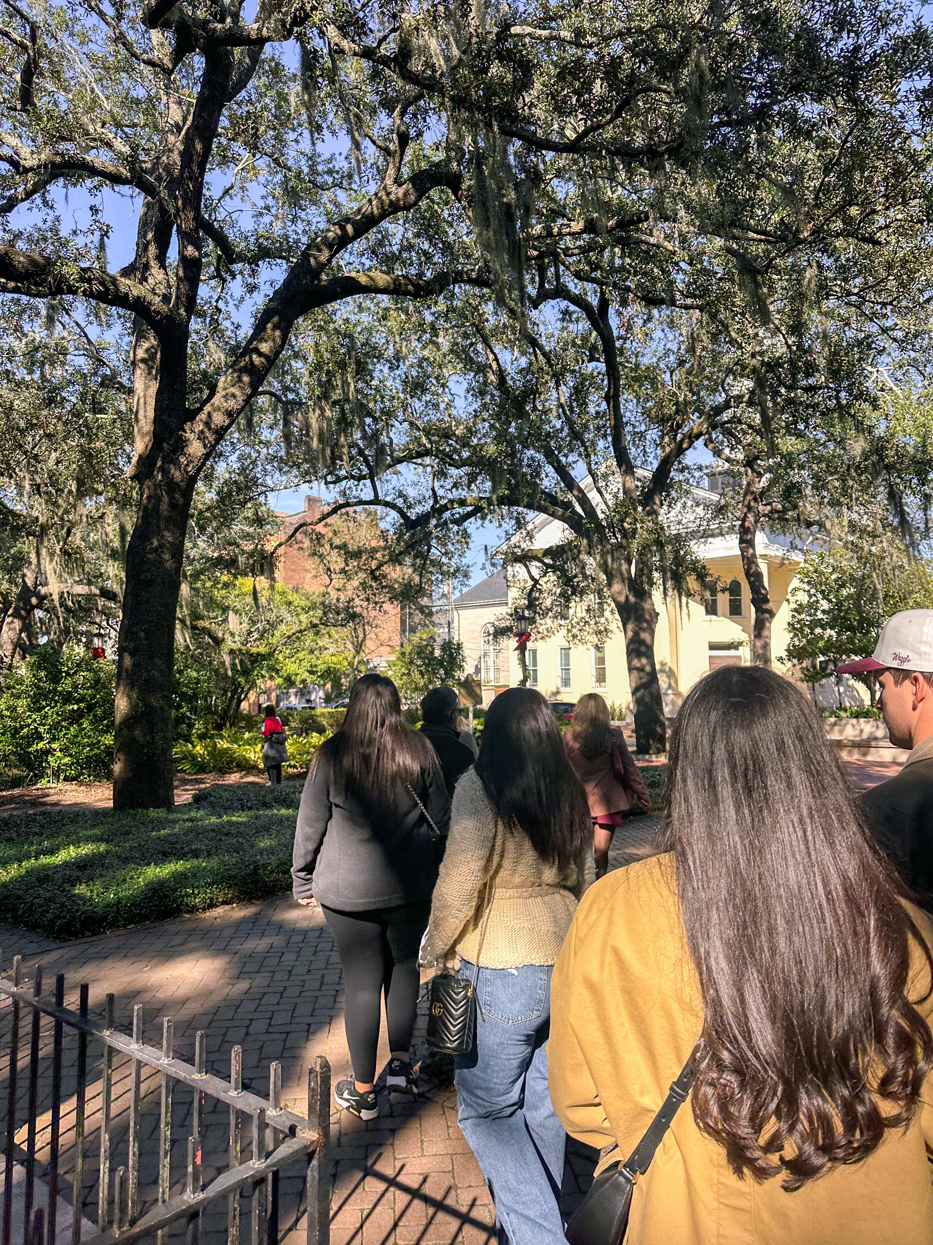 Lowcountry with lexus, savannha georiga, lexus cars, lexusus, TX 500h F Sport AWD, cars, roadtrip, suvs, travel guide, georgia, collins quarter, hotel bardo, where to stay, savannah bed and breakfast, flora and fauna, riverstreet, savannah walking tour