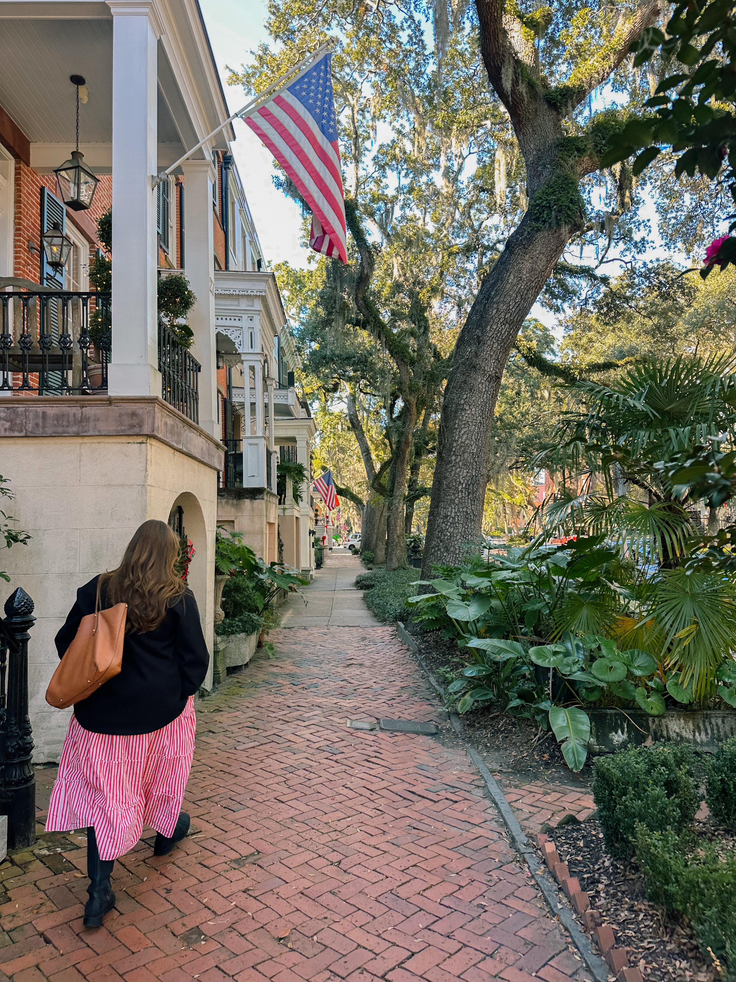 Lowcountry with lexus, savannha georiga, lexus cars, lexusus, TX 500h F Sport AWD, cars, roadtrip, suvs, travel guide, georgia, collins quarter, hotel bardo, where to stay, savannah bed and breakfast, flora and fauna, riverstreet