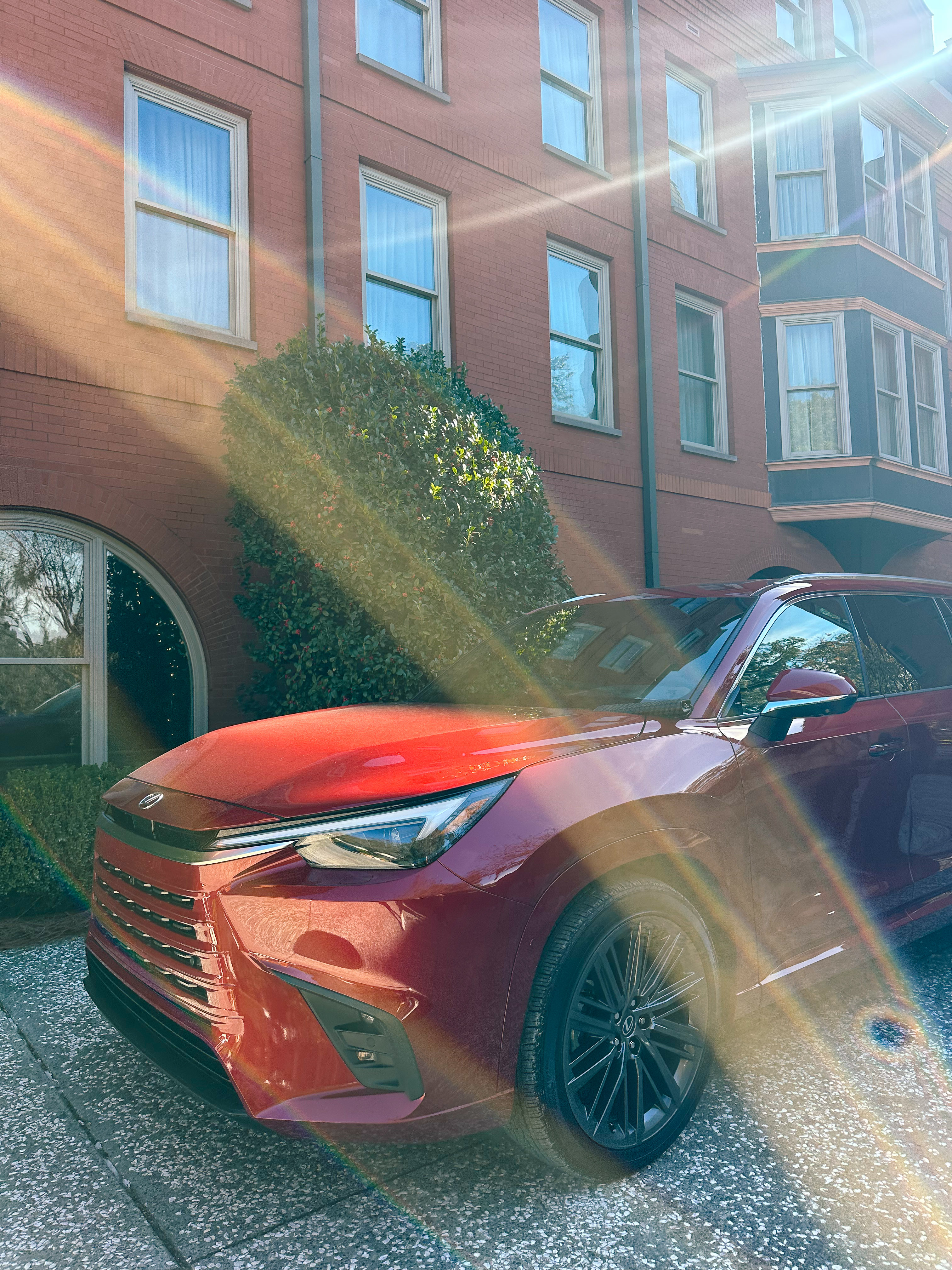 Lowcountry with lexus, savannha georiga, lexus cars, lexusus, TX 500h F Sport AWD, cars, roadtrip, suvs, travel guide, georgia, collins quarter, hotel bardo, where to stay, savannah bed and breakfast