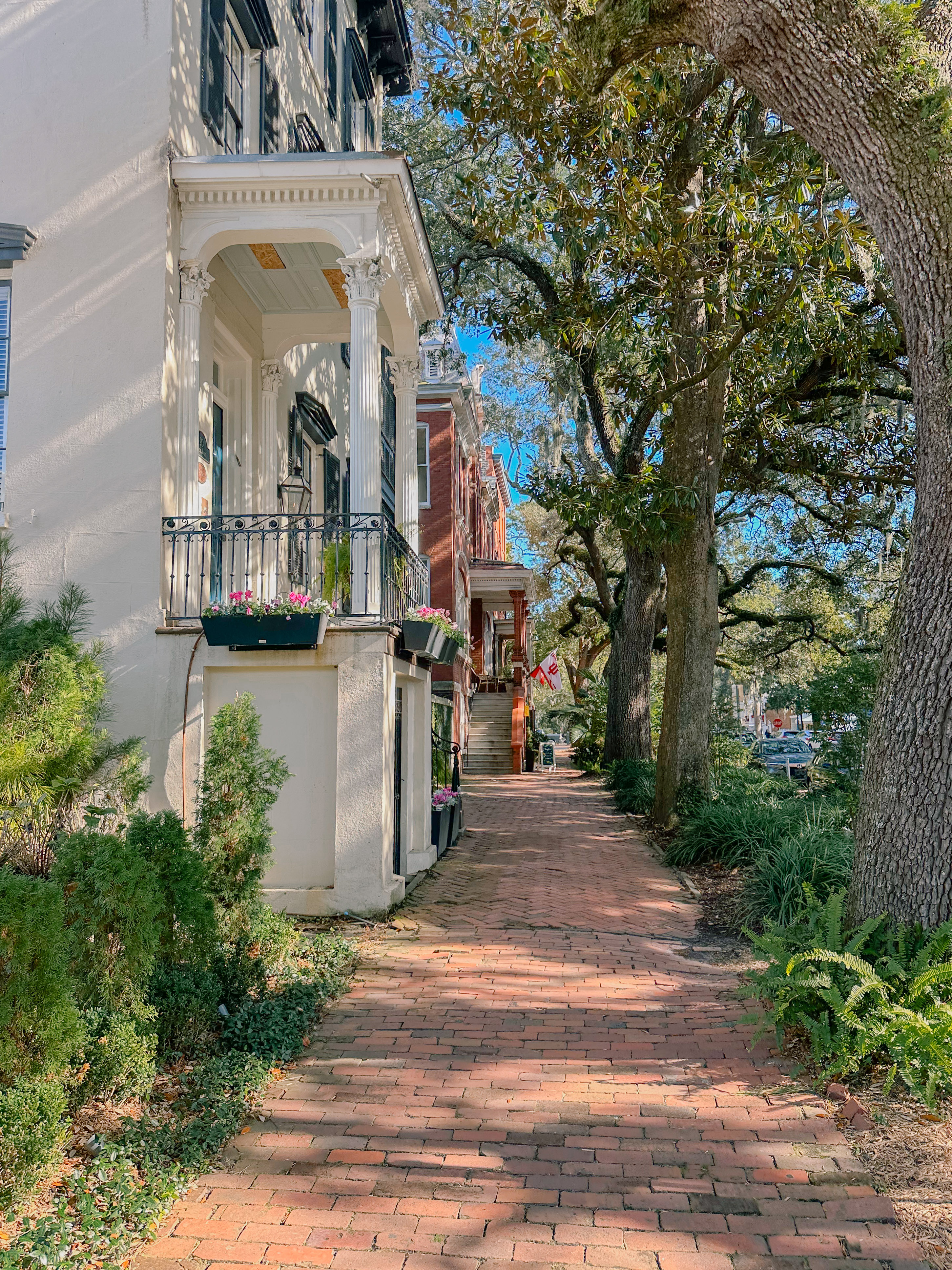 Lowcountry with lexus, savannha georiga, lexus cars, lexusus, TX 500h F Sport AWD, cars, roadtrip, suvs, travel guide, georgia, collins quarter, hotel bardo, where to stay, savannah bed and breakfast, flora and fauna, riverstreet, savannah walking tour