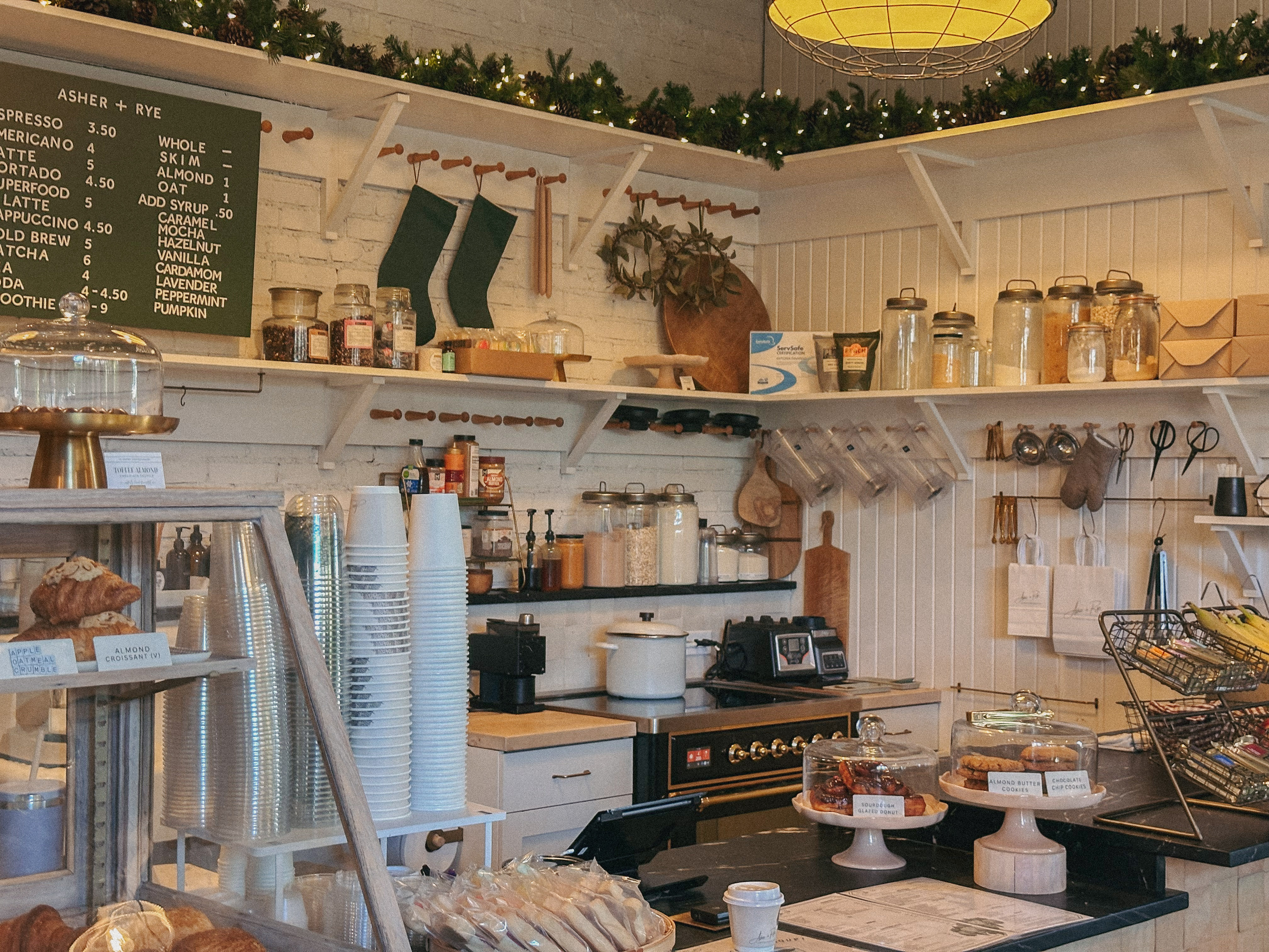 Lowcountry with lexus, savannha georiga, lexus cars, lexusus, TX 500h F Sport AWD, cars, roadtrip, suvs, travel guide, georgia, collins quarter, hotel bardo, where to stay, savannah bed and breakfast, flora and fauna, riverstreet, savannah walking tour, asher and rye