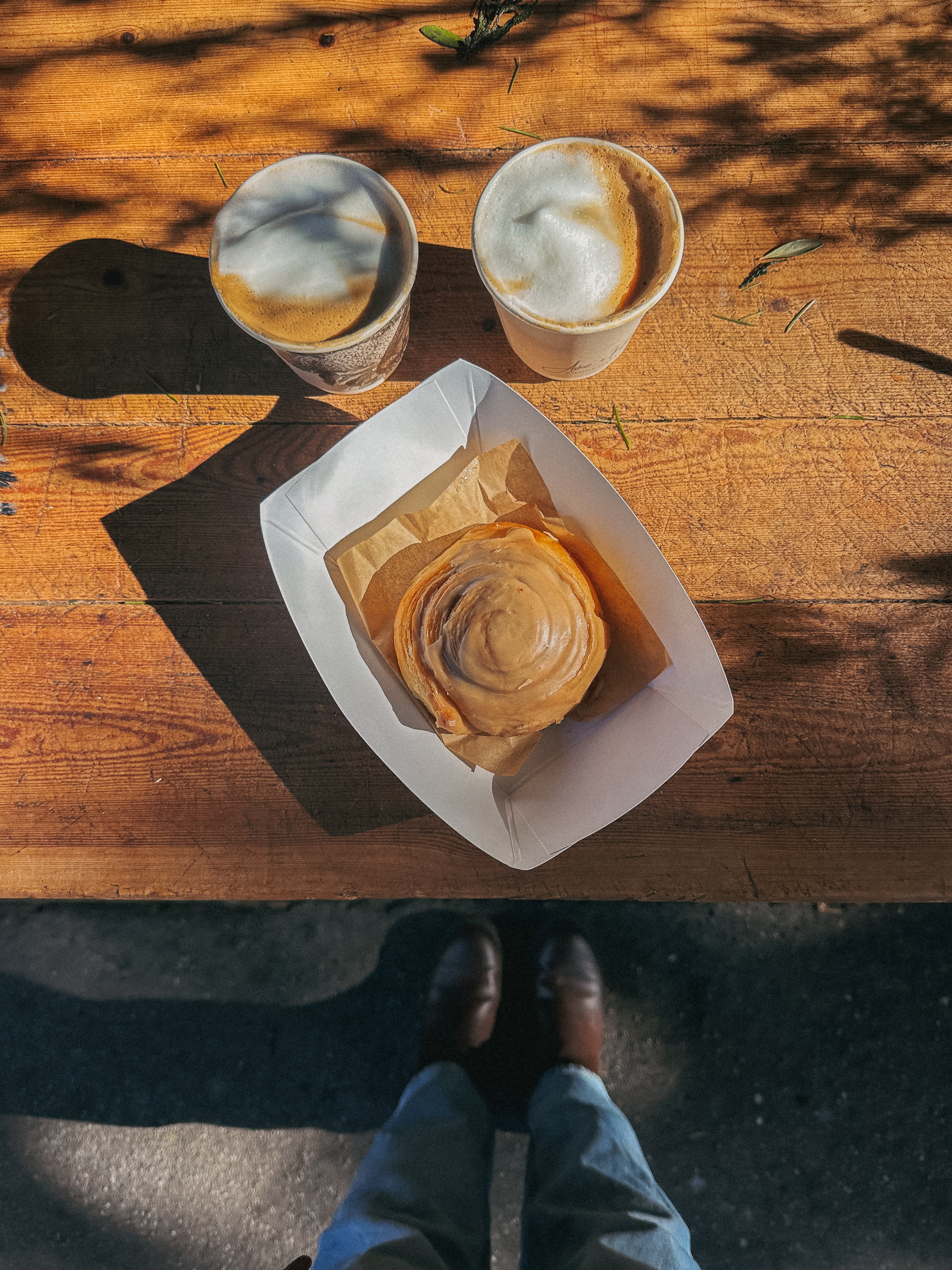 Lowcountry with lexus, savannha georiga, lexus cars, lexusus, TX 500h F Sport AWD, cars, roadtrip, suvs, travel guide, georgia, collins quarter, hotel bardo, where to stay, savannah bed and breakfast, flora and fauna, riverstreet, savannah walking tour, asher and rye