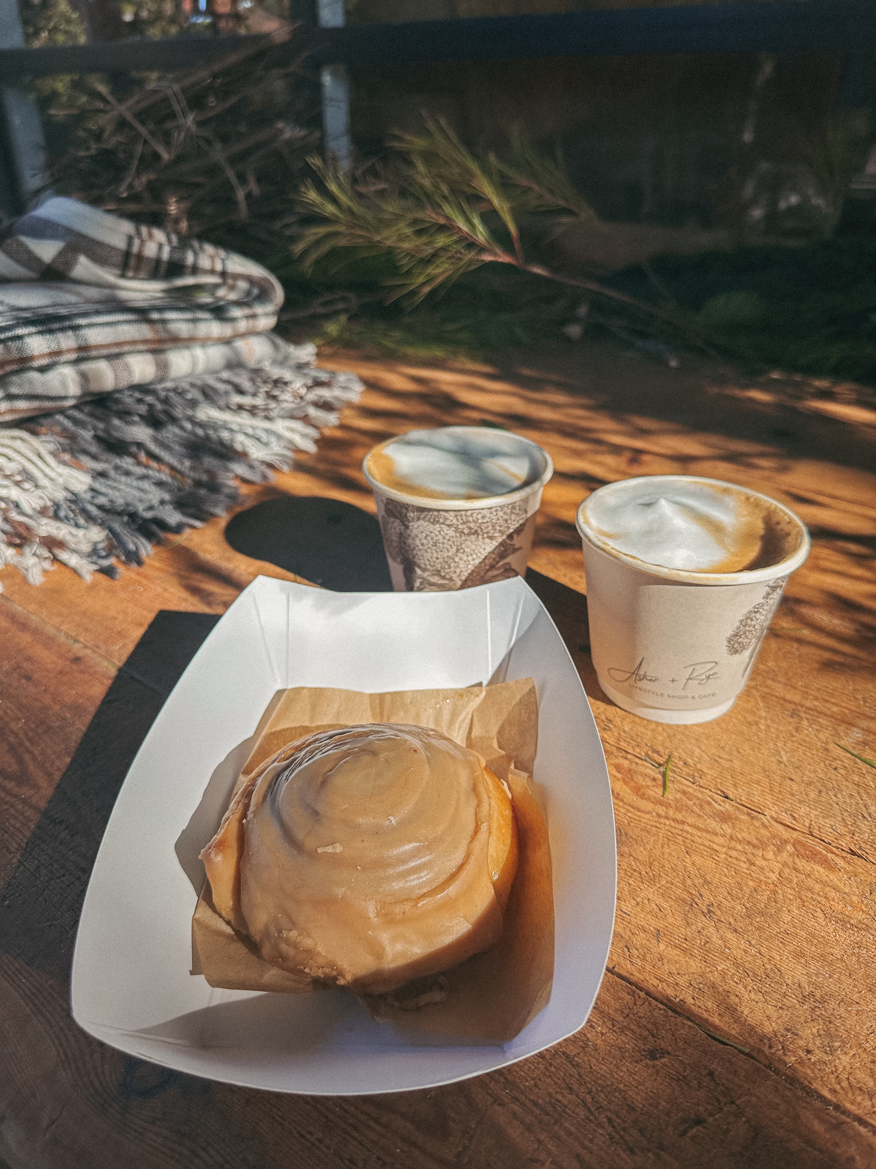 Lowcountry with lexus, savannha georiga, lexus cars, lexusus, TX 500h F Sport AWD, cars, roadtrip, suvs, travel guide, georgia, collins quarter, hotel bardo, where to stay, savannah bed and breakfast, flora and fauna, riverstreet, savannah walking tour, asher and rye