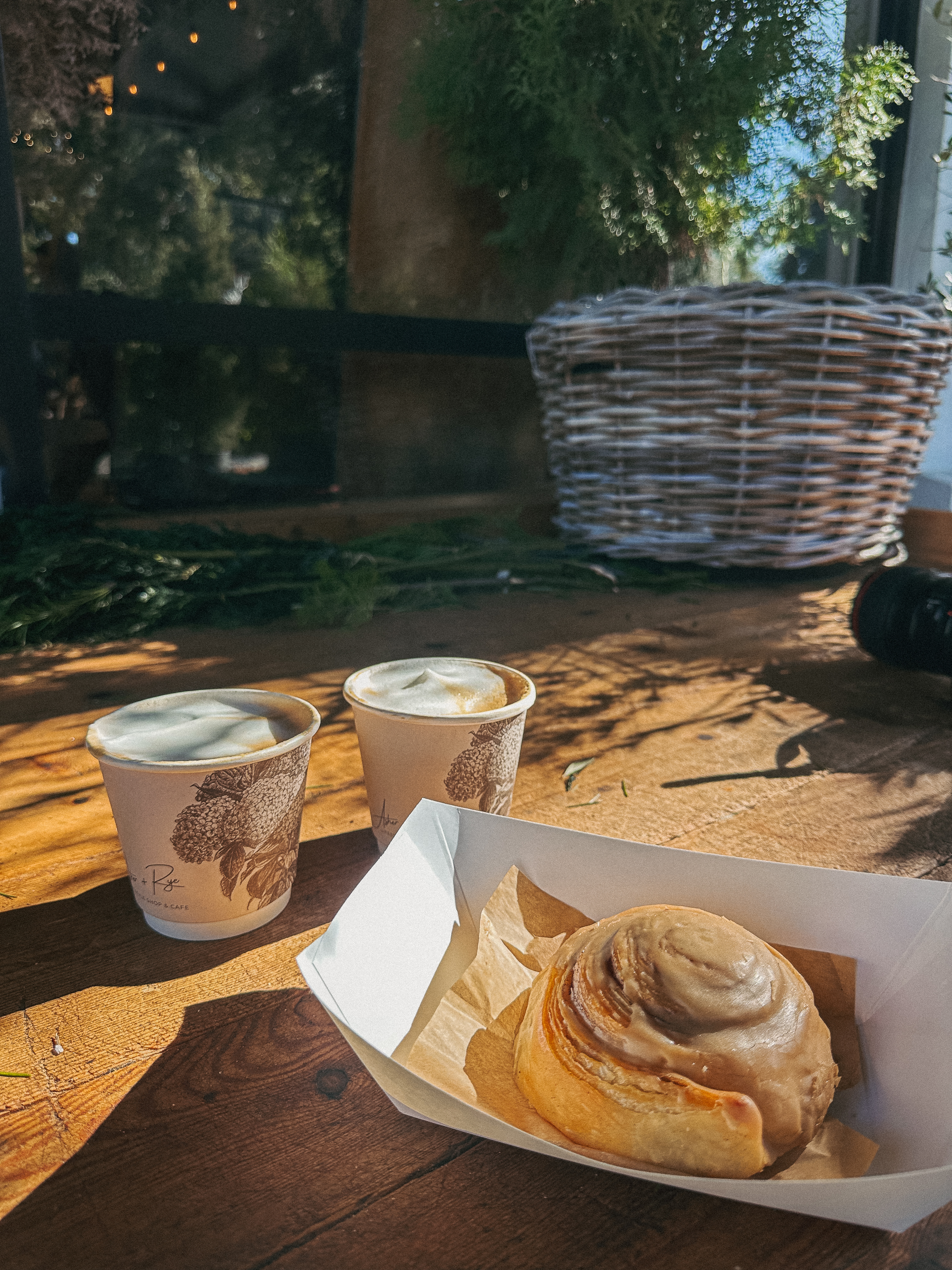 Lowcountry with lexus, savannha georiga, lexus cars, lexusus, TX 500h F Sport AWD, cars, roadtrip, suvs, travel guide, georgia, collins quarter, hotel bardo, where to stay, savannah bed and breakfast, flora and fauna, riverstreet, savannah walking tour, asher and rye