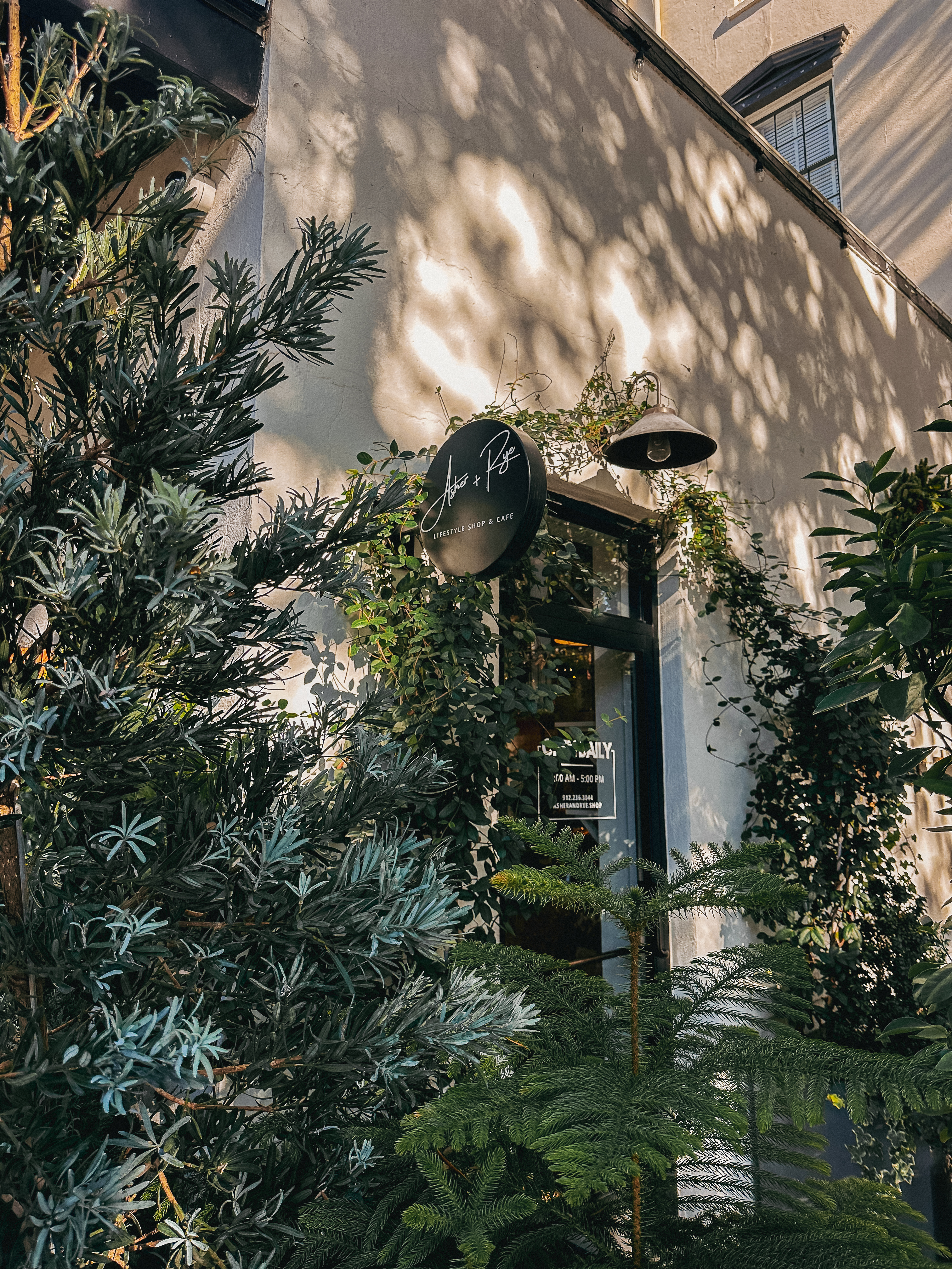 Lowcountry with lexus, savannha georiga, lexus cars, lexusus, TX 500h F Sport AWD, cars, roadtrip, suvs, travel guide, georgia, collins quarter, hotel bardo, where to stay, savannah bed and breakfast, flora and fauna, riverstreet, savannah walking tour, asher and rye