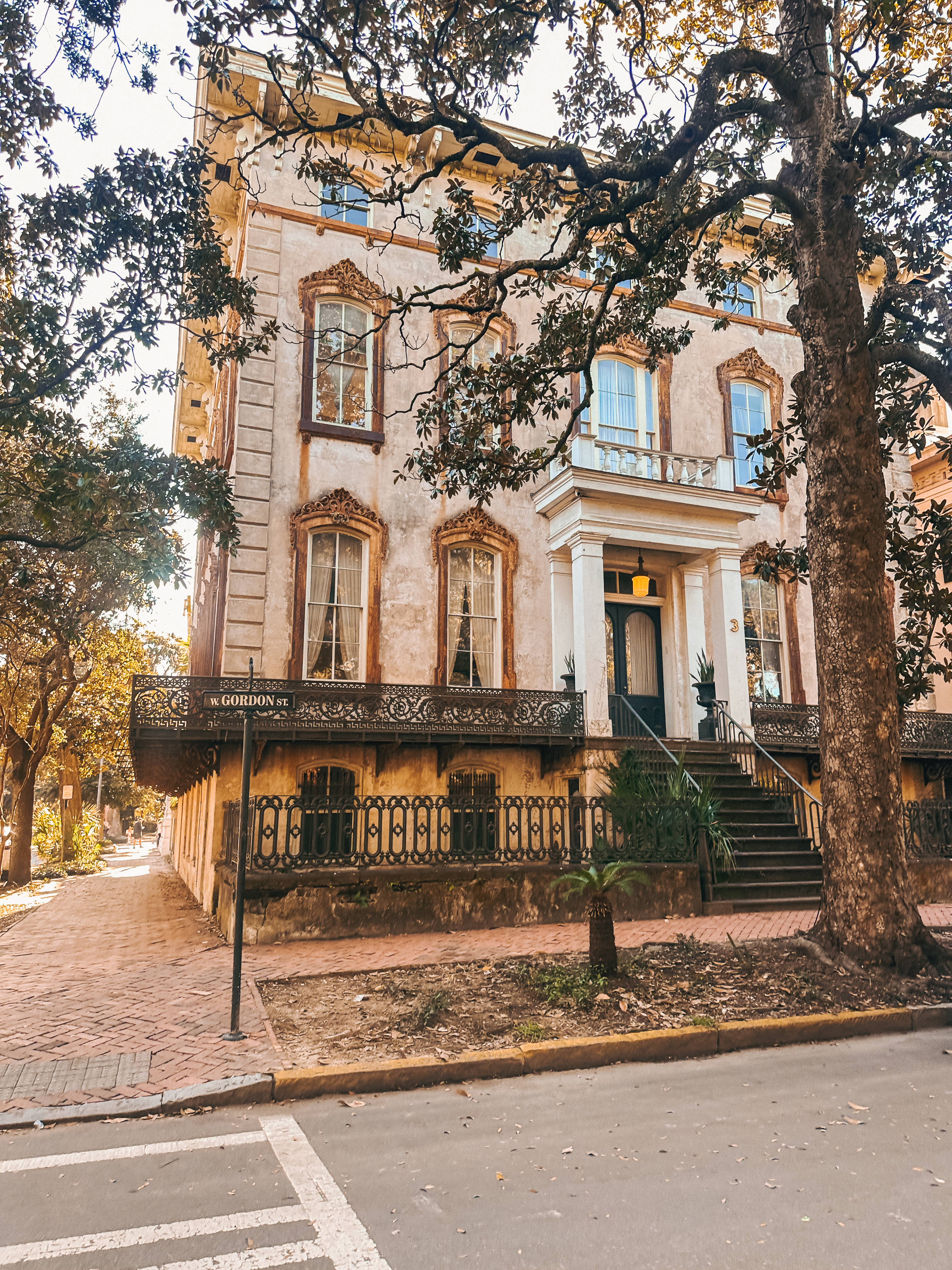 Lowcountry with lexus, savannha georiga, lexus cars, lexusus, TX 500h F Sport AWD, cars, roadtrip, suvs, travel guide, georgia, collins quarter, hotel bardo, where to stay, savannah bed and breakfast, flora and fauna, riverstreet