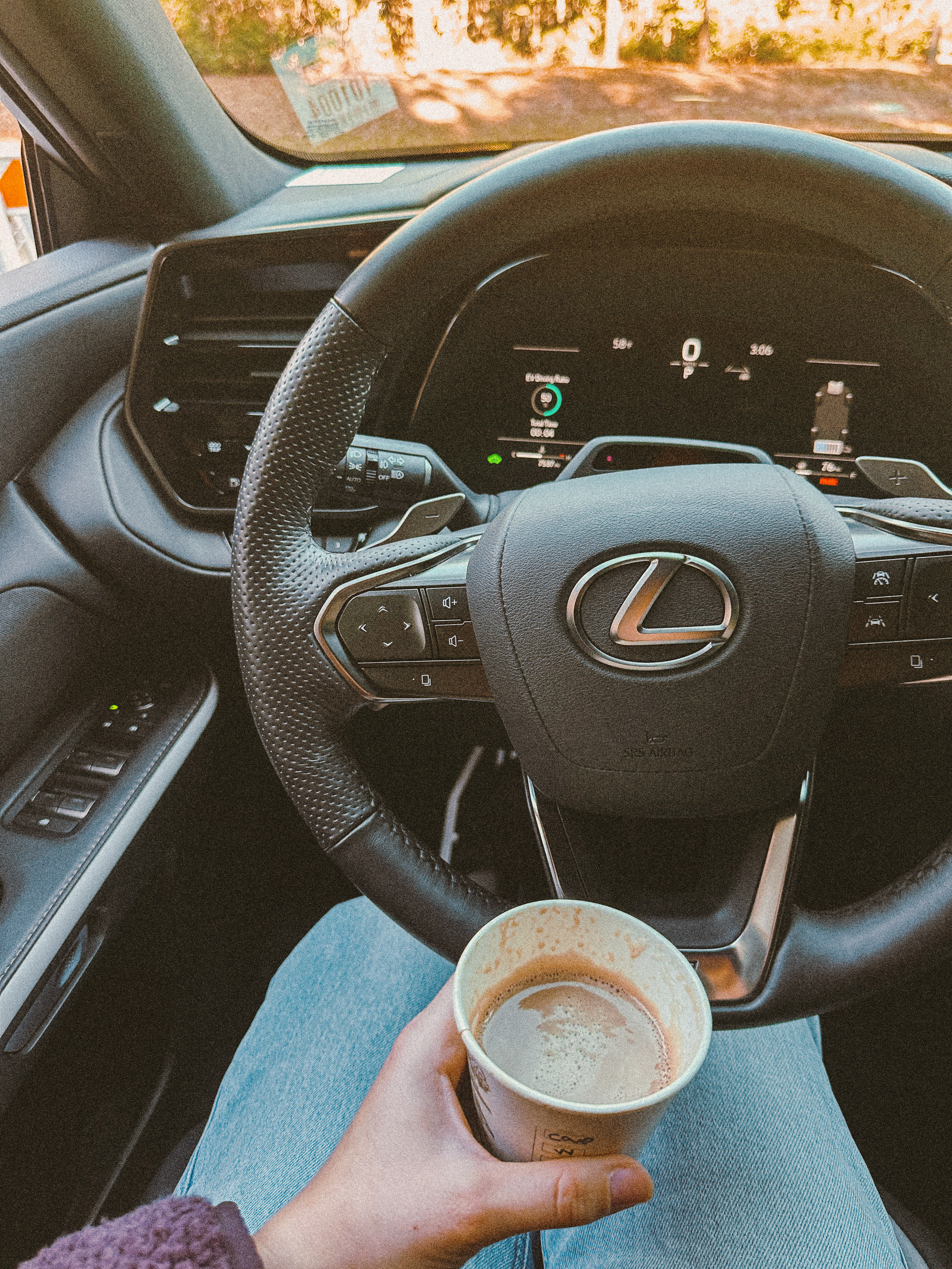 Lowcountry with lexus, savannha georiga, lexus cars, lexusus, TX 500h F Sport AWD, cars, roadtrip, suvs, travel guide, georgia, collins quarter, hotel bardo, where to stay, savannah bed and breakfast, flora and fauna, riverstreet, savannah walking tour, asher and rye