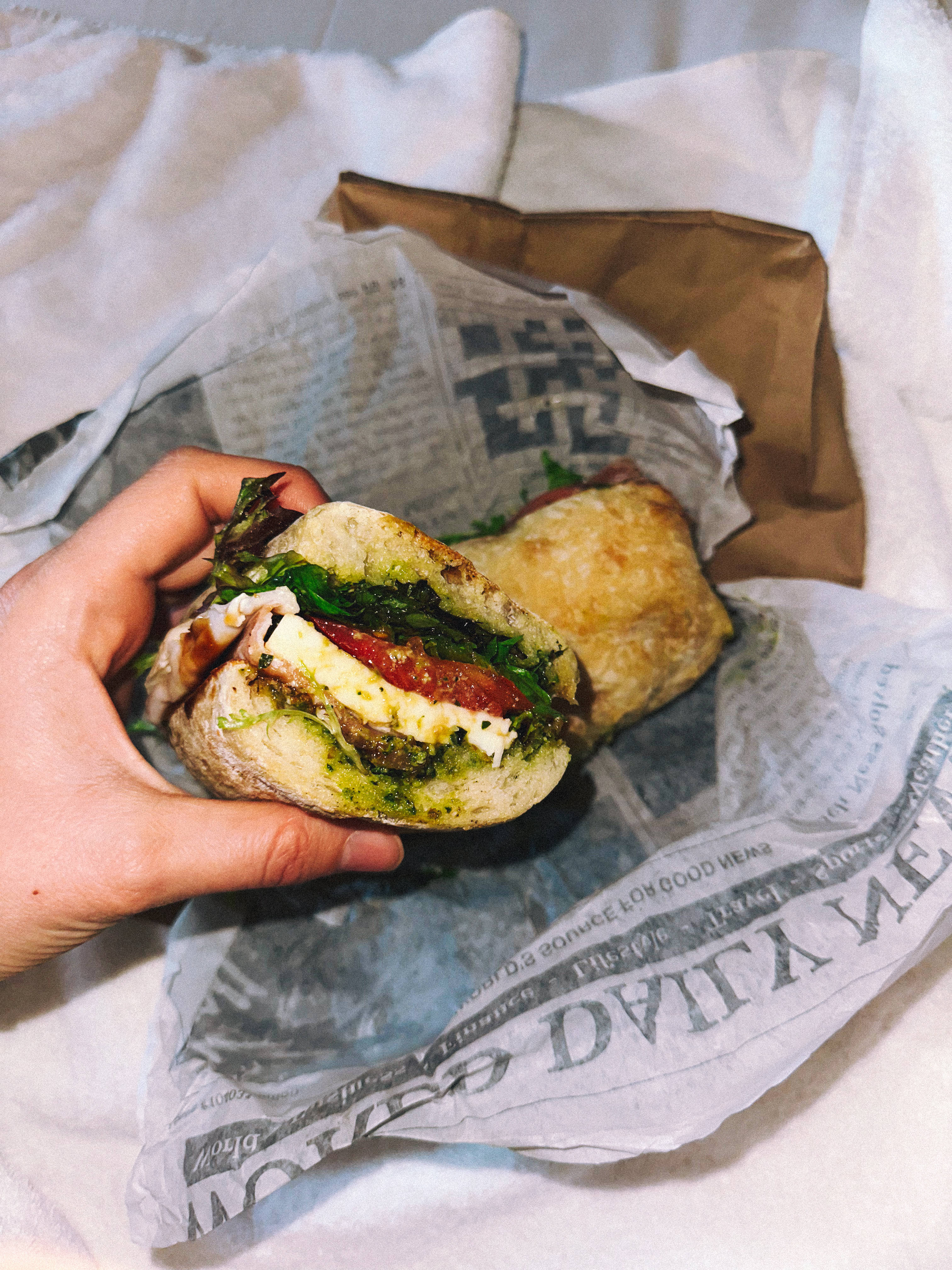 Lowcountry with lexus, savannha georiga, lexus cars, lexusus, TX 500h F Sport AWD, cars, roadtrip, suvs, travel guide, georgia, collins quarter, hotel bardo, where to stay, savannah bed and breakfast, flora and fauna, riverstreet, savannah walking tour, asher and rye