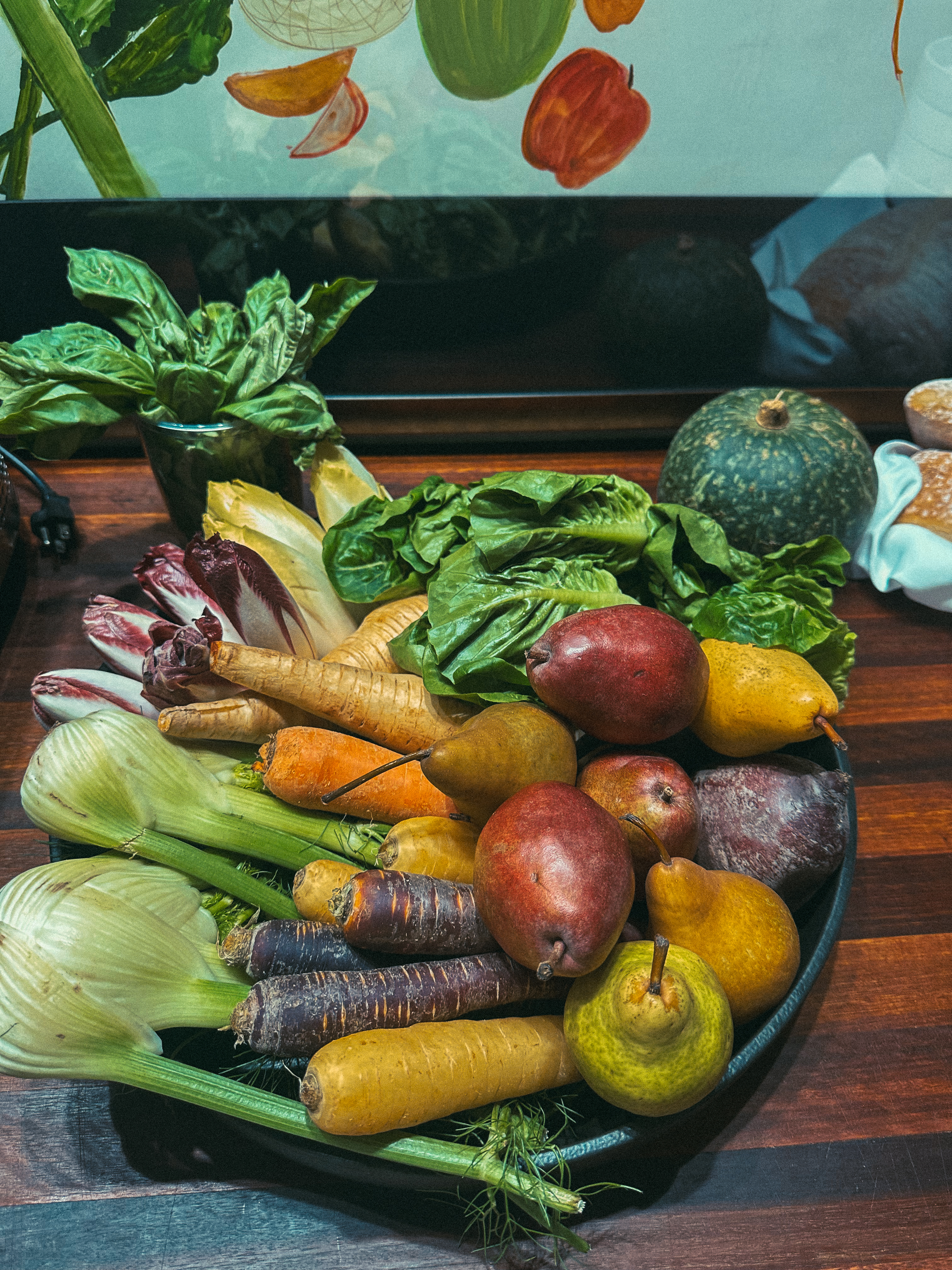 Lowcountry with lexus, savannha georiga, lexus cars, lexusus, TX 500h F Sport AWD, cars, roadtrip, suvs, travel guide, georgia, collins quarter, hotel bardo, where to stay, savannah bed and breakfast, flora and fauna, riverstreet, savannah walking tour, asher and rye, saint bibiana cooking school, hotel bardo restaurants, cooking class