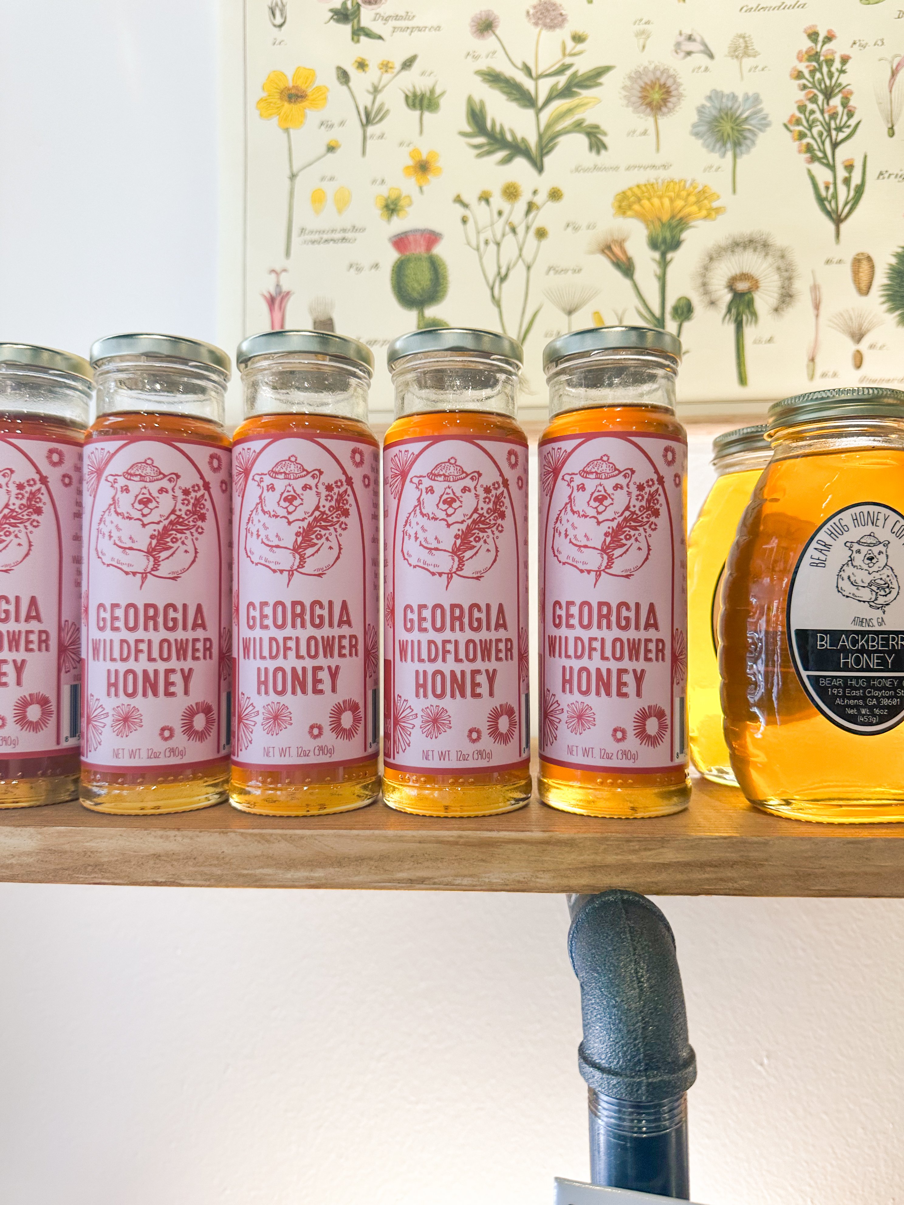 Lowcountry with lexus, savannha georiga, lexus cars, lexusus, TX 500h F Sport AWD, cars, roadtrip, suvs, travel guide, georgia, collins quarter, hotel bardo, where to stay, savannah bed and breakfast, flora and fauna, riverstreet, savannah walking tour, asher and rye, saint bibiana cooking school, hotel bardo restaurants, cooking class, sunday sunday