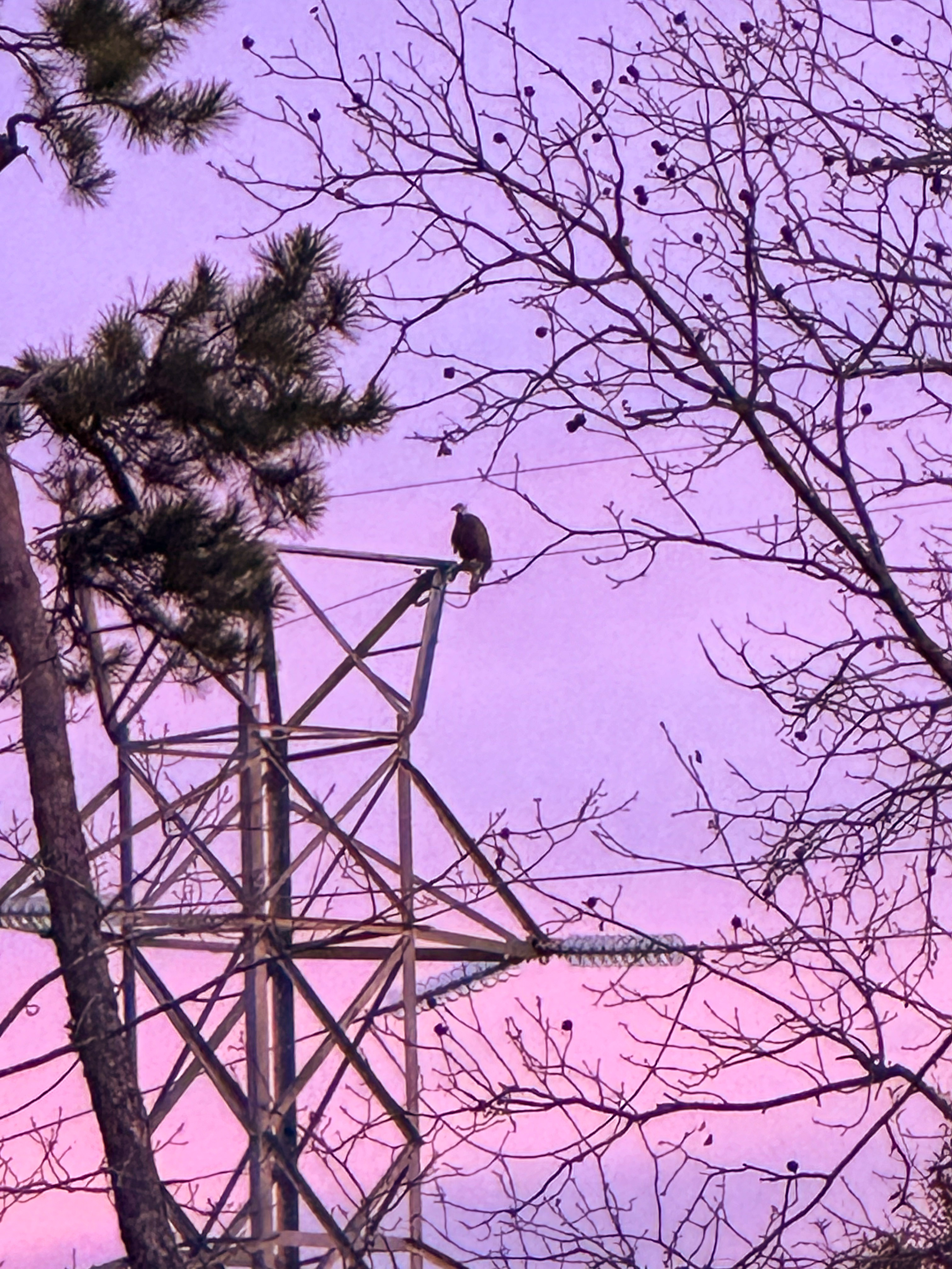 christmas recap, christmas morning, christmas blog, christmas decor, stockings, presents, toddler, dinner, table setting, home, lifestyle, blogging, motherhood, matching family pajamas, menu, holiday dinner, holiday celebrations, christmas day, pecan brownie pie, lottery pong, toddler gifts, cozy fireplace, cookies for santa, recap