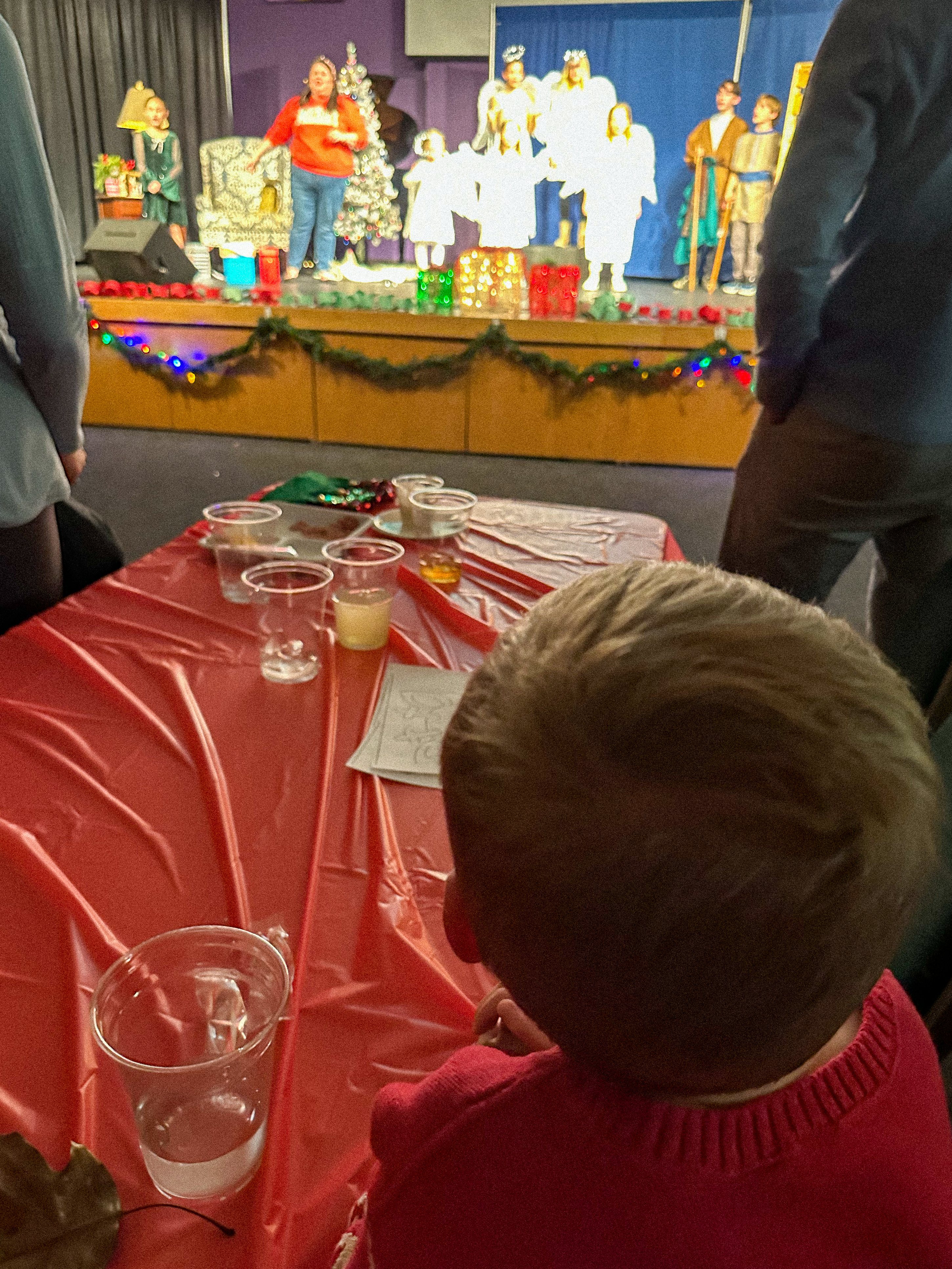 hot chocolate peppermint cookies, christmas cookies, chocolate cookies, christmas baking, andes, peppermint recipes, easy chocolate cookies, no chill time