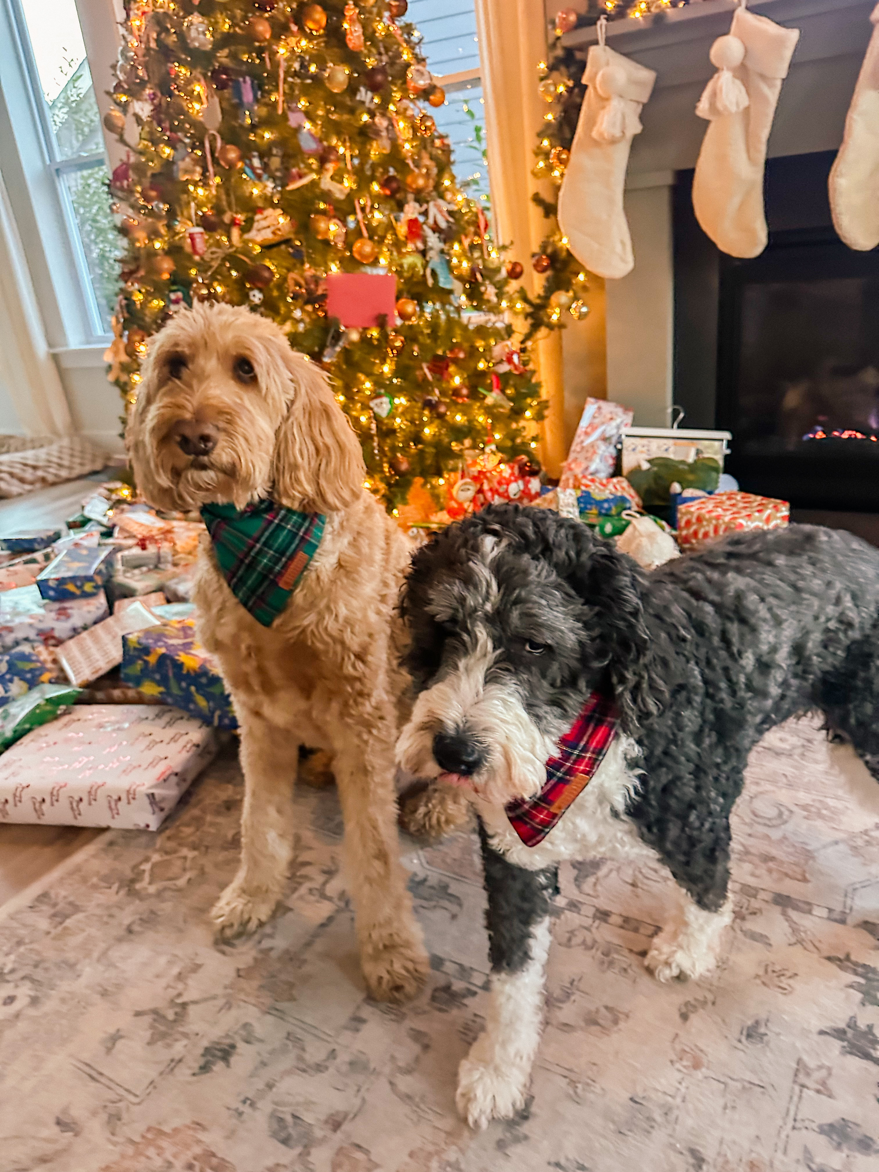 christmas recap, christmas morning, christmas blog, christmas decor, stockings, presents, toddler, dinner, table setting, home, lifestyle, blogging, motherhood, matching family pajamas, menu, holiday dinner, holiday celebrations, christmas day, pecan brownie pie, lottery pong, toddler gifts, cozy fireplace, cookies for santa, recap