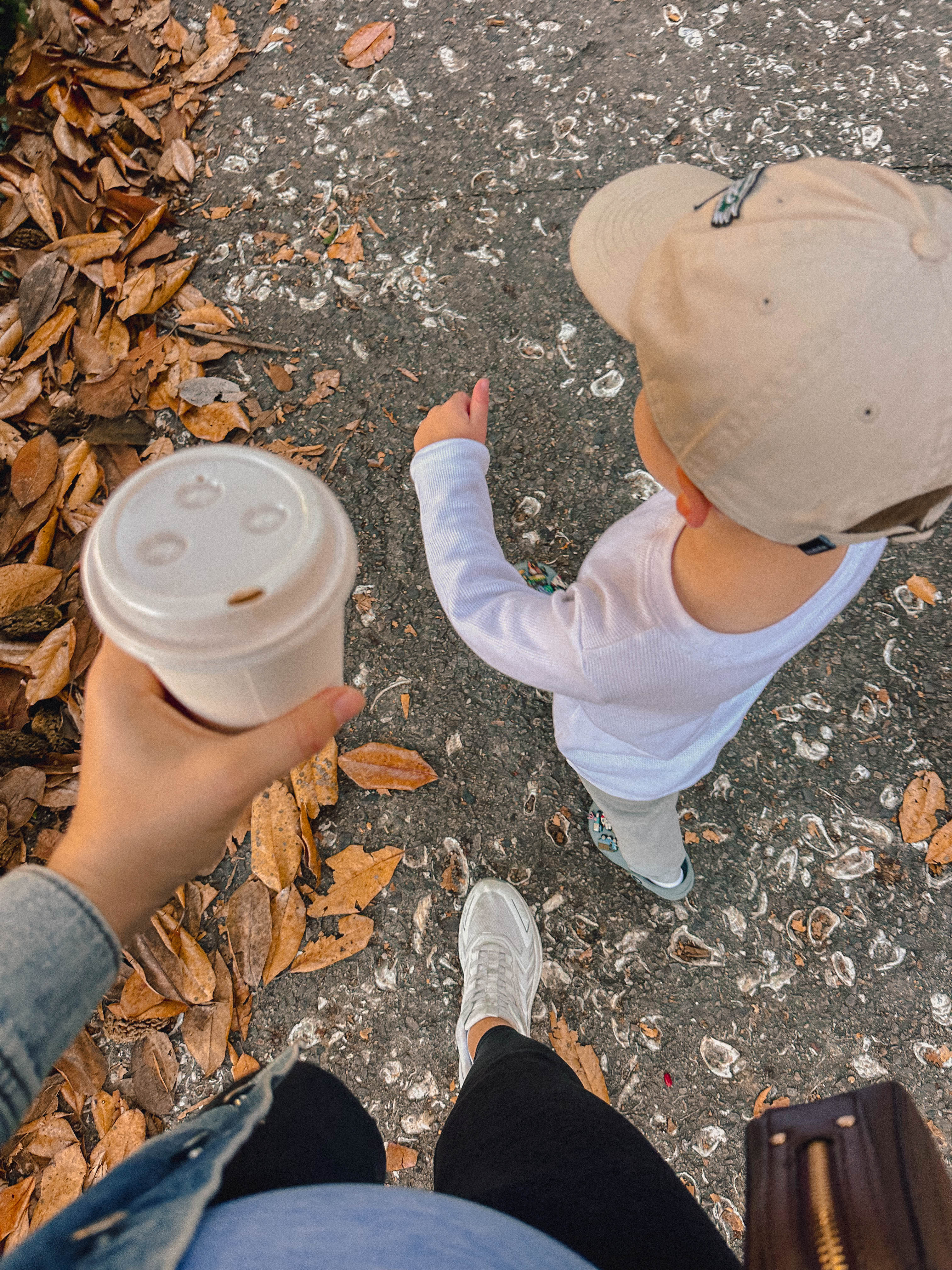 road trip, thanksgiving, lifestyle blogger, charlotte, savannah, florida, thanksgiving, urban deli, lunch spot in savannah, franklins coffee shop