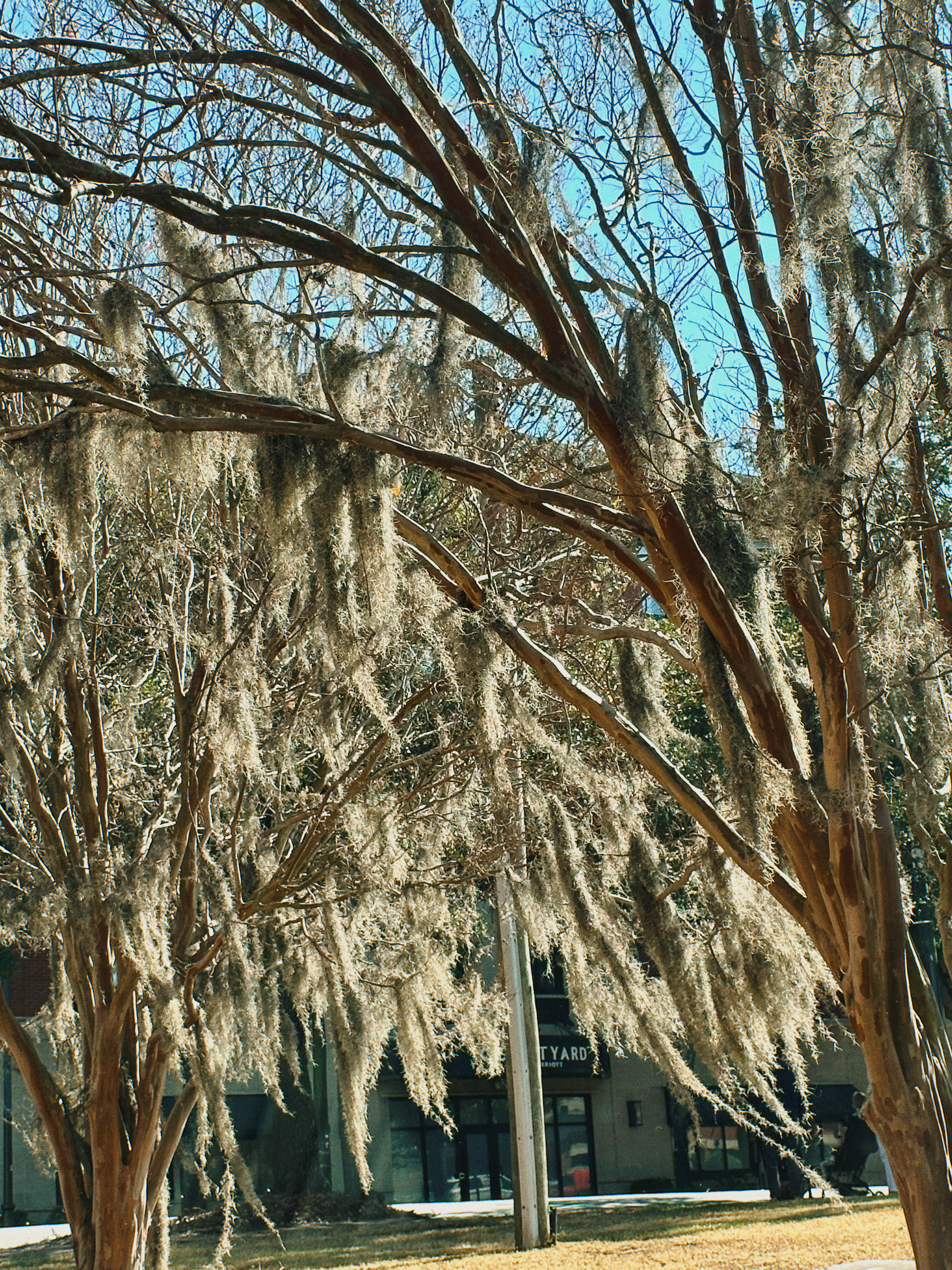 road trip, thanksgiving, lifestyle blogger, charlotte, savannah, florida, thanksgiving, urban deli, lunch spot in savannah, franklins coffee shop