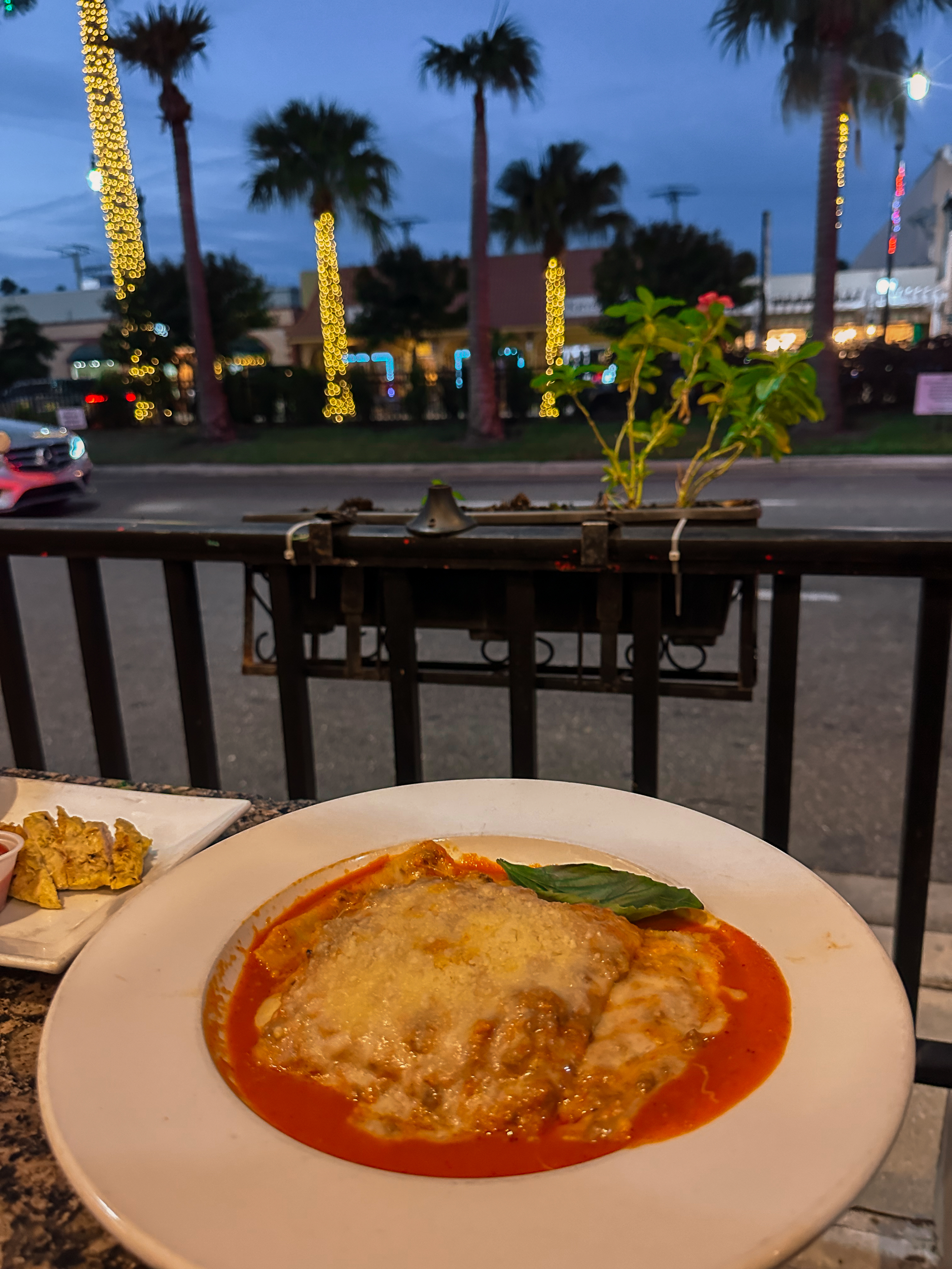 thanksgiving travel, venice florida, travel guide, florida, holidays