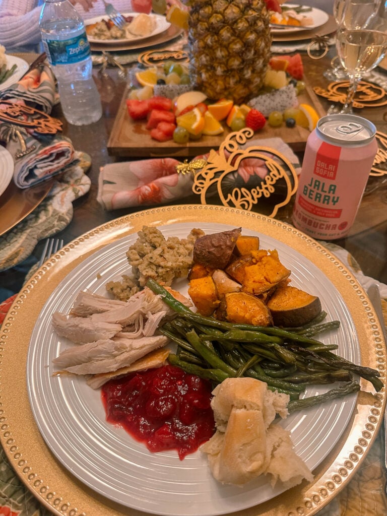 thanksgiving travel, venice florida, travel guide, florida, holidays