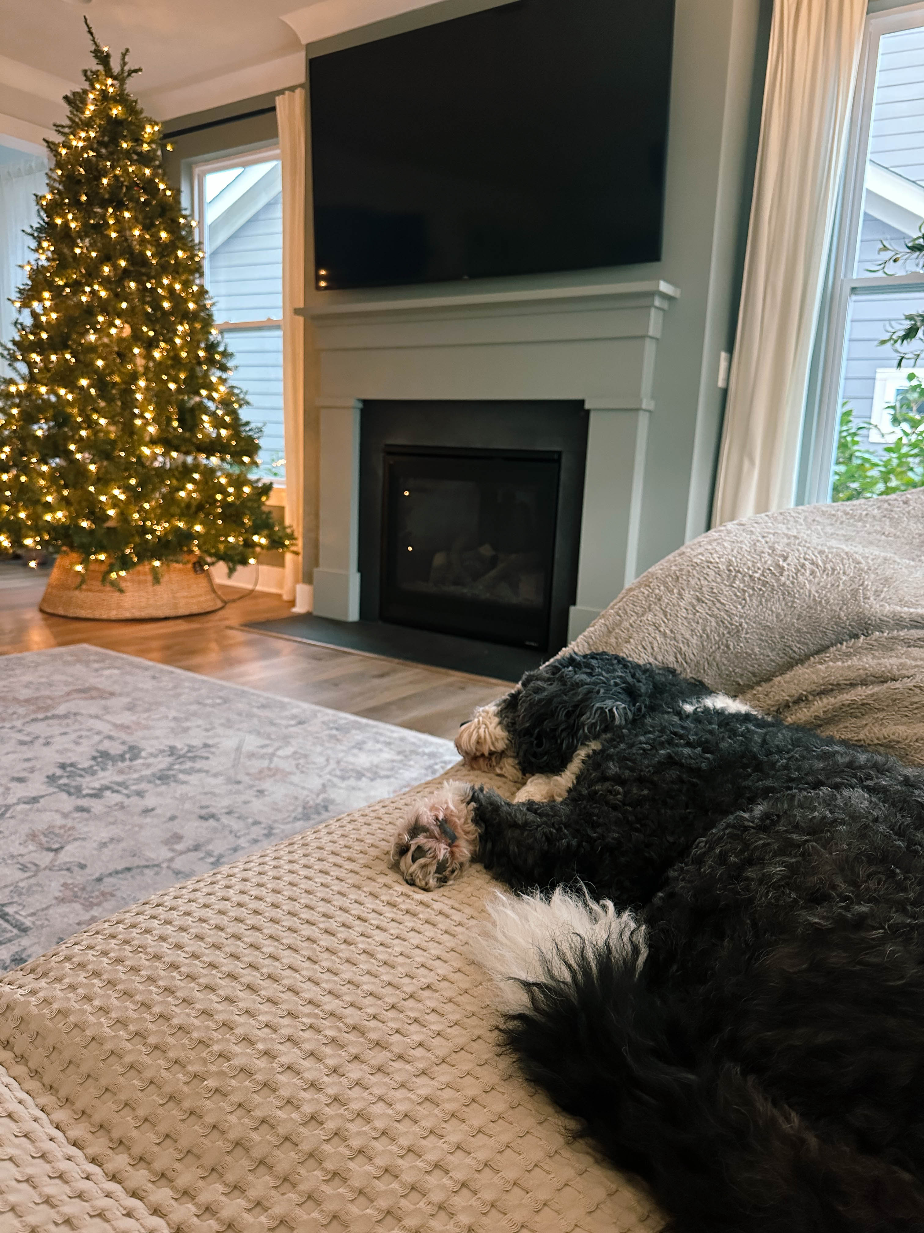 winter, mom life, pregnancy, january, things to do, fort mill, charlotte, cookies, baking, healthy, meals, dinner, what to eat, football season, salads, breakfast spots, matcha, coffee, parm, swim lessons, lifestyle blogger, motherhood blog, home cleaning, pad thai, life with a toddler, pregnancy updates