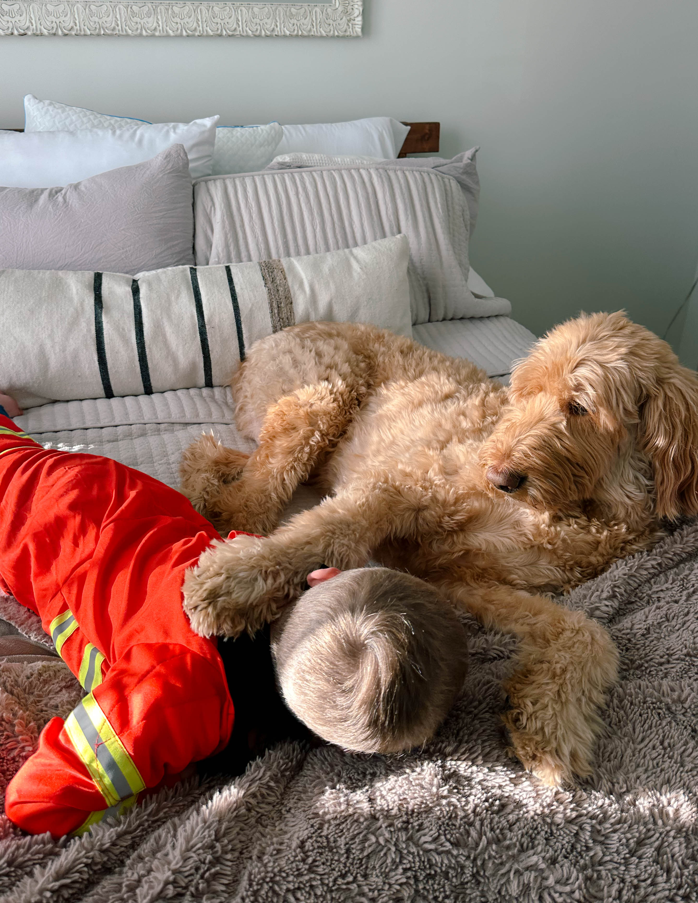 winter, mom life, pregnancy, january, things to do, fort mill, charlotte, cookies, baking, healthy, meals, dinner, what to eat, football season, salads, breakfast spots, matcha, coffee, parm, swim lessons, lifestyle blogger, motherhood blog, home cleaning, pad thai, life with a toddler, pregnancy updates