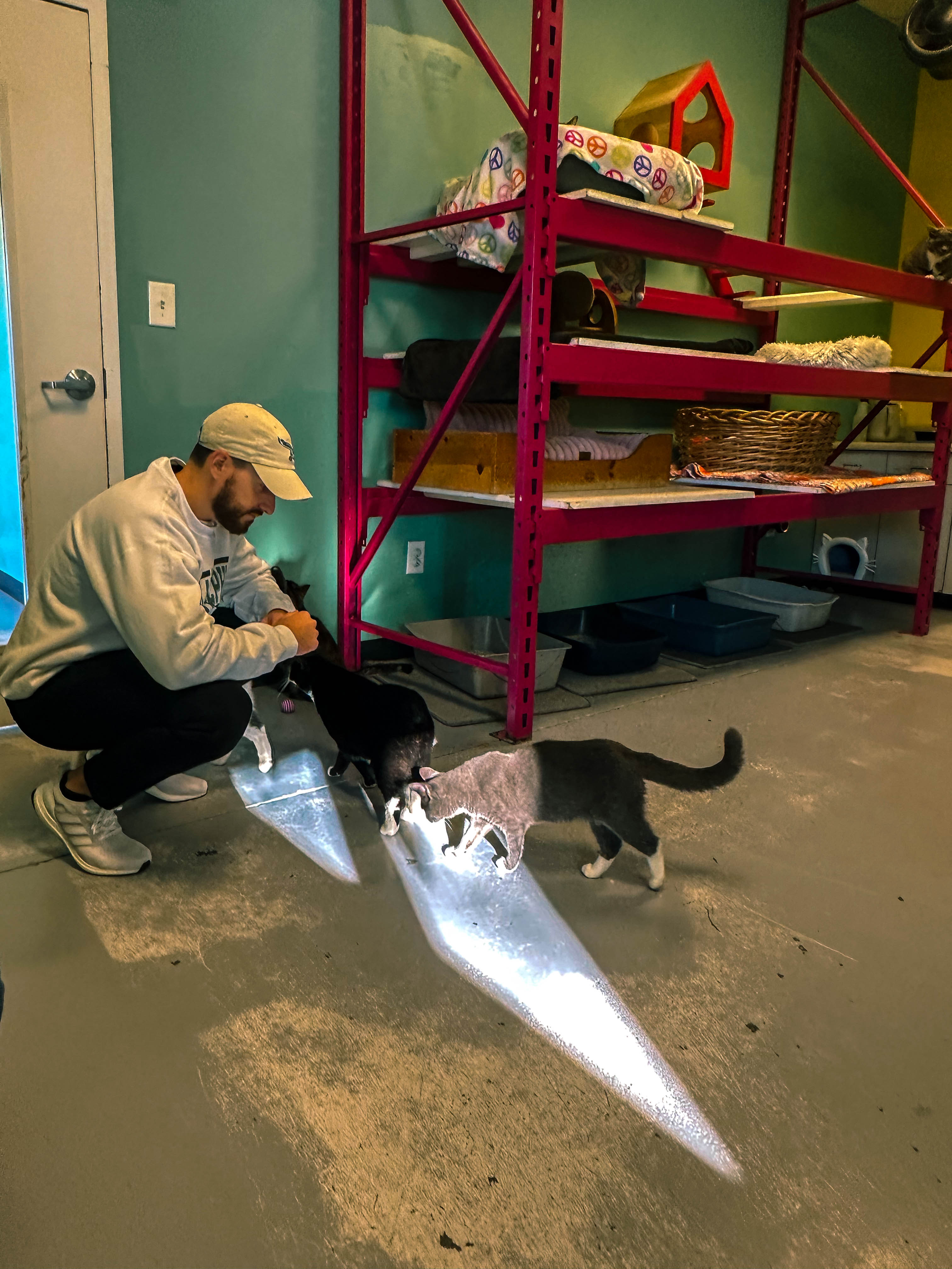 winter, mom life, pregnancy, january, things to do, fort mill, charlotte, cookies, baking, healthy, meals, dinner, what to eat, football season, salads, breakfast spots, matcha, coffee, parm, swim lessons, lifestyle blogger, motherhood blog, home cleaning, pad thai, life with a toddler, pregnancy updates