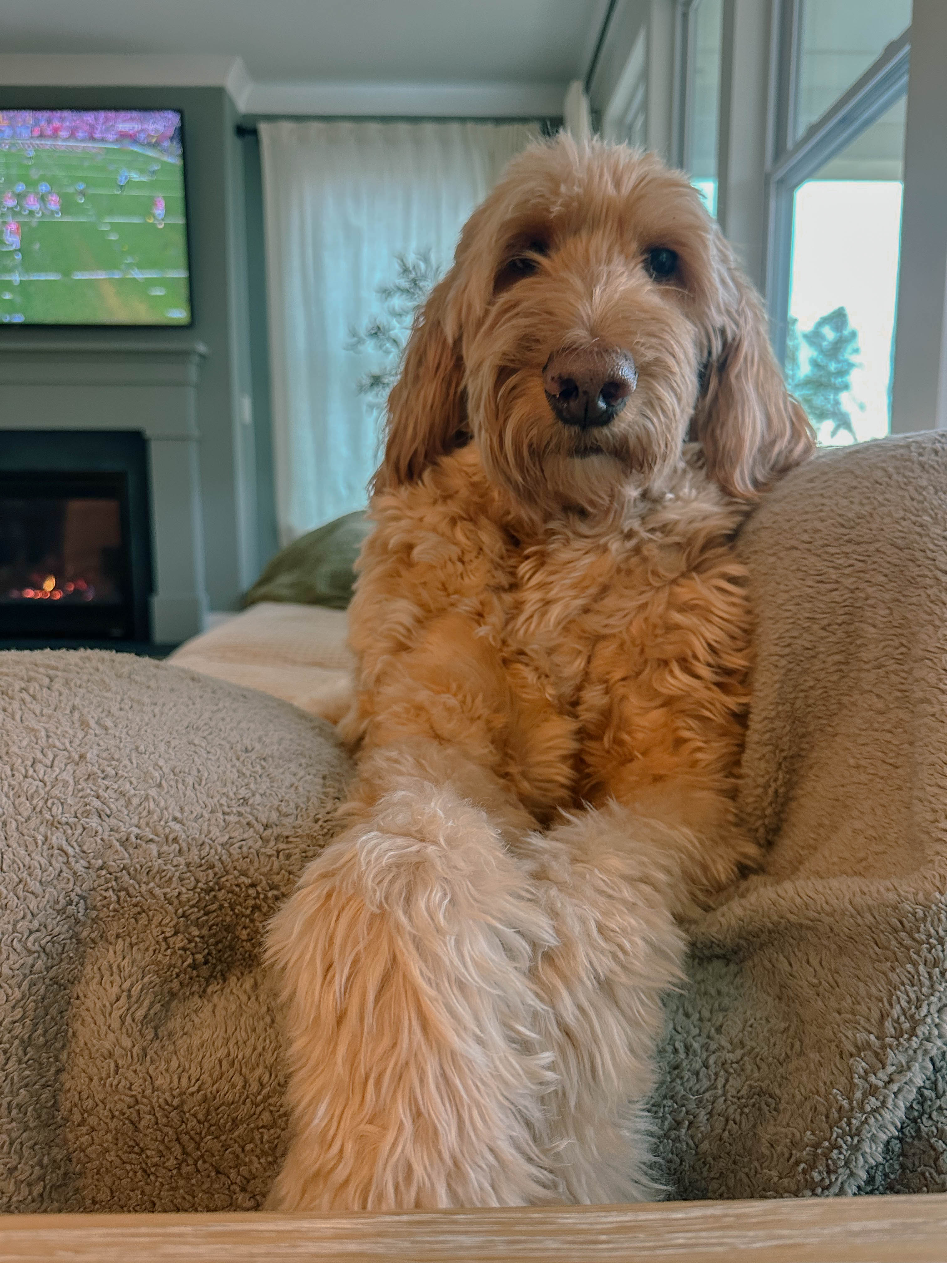 winter, mom life, pregnancy, january, things to do, fort mill, charlotte, cookies, baking, healthy, meals, dinner, what to eat, football season, salads, breakfast spots, matcha, coffee, parm, swim lessons, lifestyle blogger, motherhood blog, home cleaning, pad thai, life with a toddler, pregnancy updates