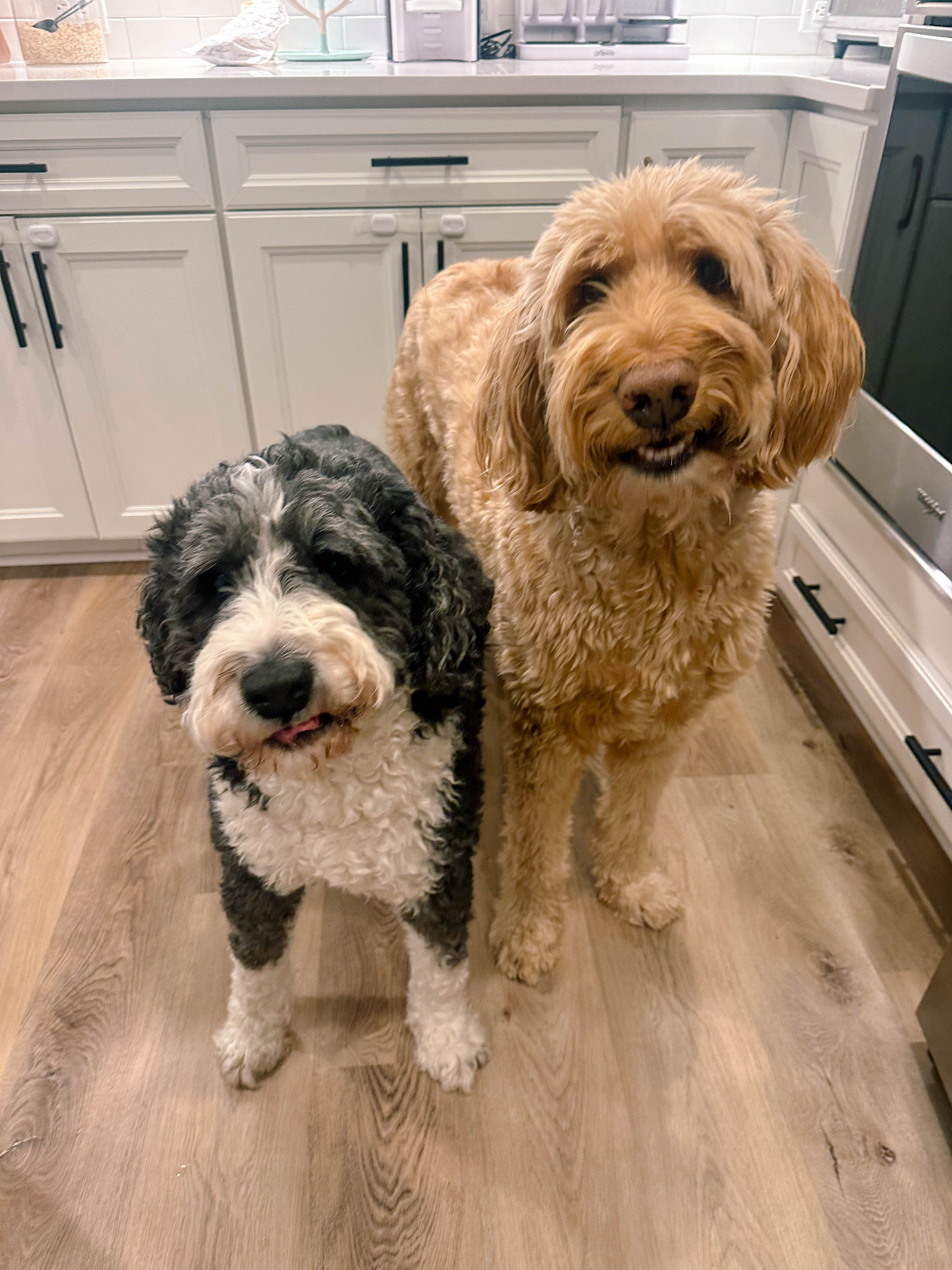 winter, mom life, pregnancy, january, things to do, fort mill, charlotte, cookies, baking, healthy, meals, dinner, what to eat, football season, salads, breakfast spots, matcha, coffee, parm, swim lessons, lifestyle blogger, motherhood blog, home cleaning, pad thai, life with a toddler, pregnancy updates