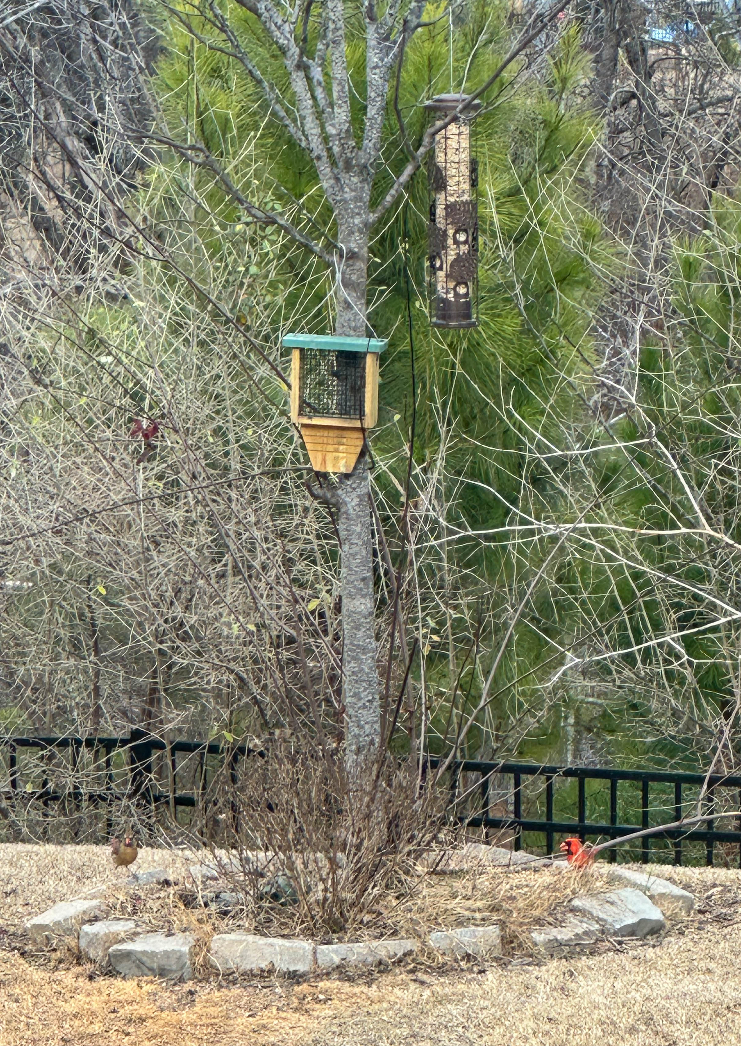 winter, mom life, pregnancy, january, things to do, fort mill, charlotte, cookies, baking, healthy, meals, dinner, what to eat, football season, salads, breakfast spots, matcha, coffee, parm, swim lessons, lifestyle blogger, motherhood blog, home cleaning, pad thai, life with a toddler, pregnancy updates