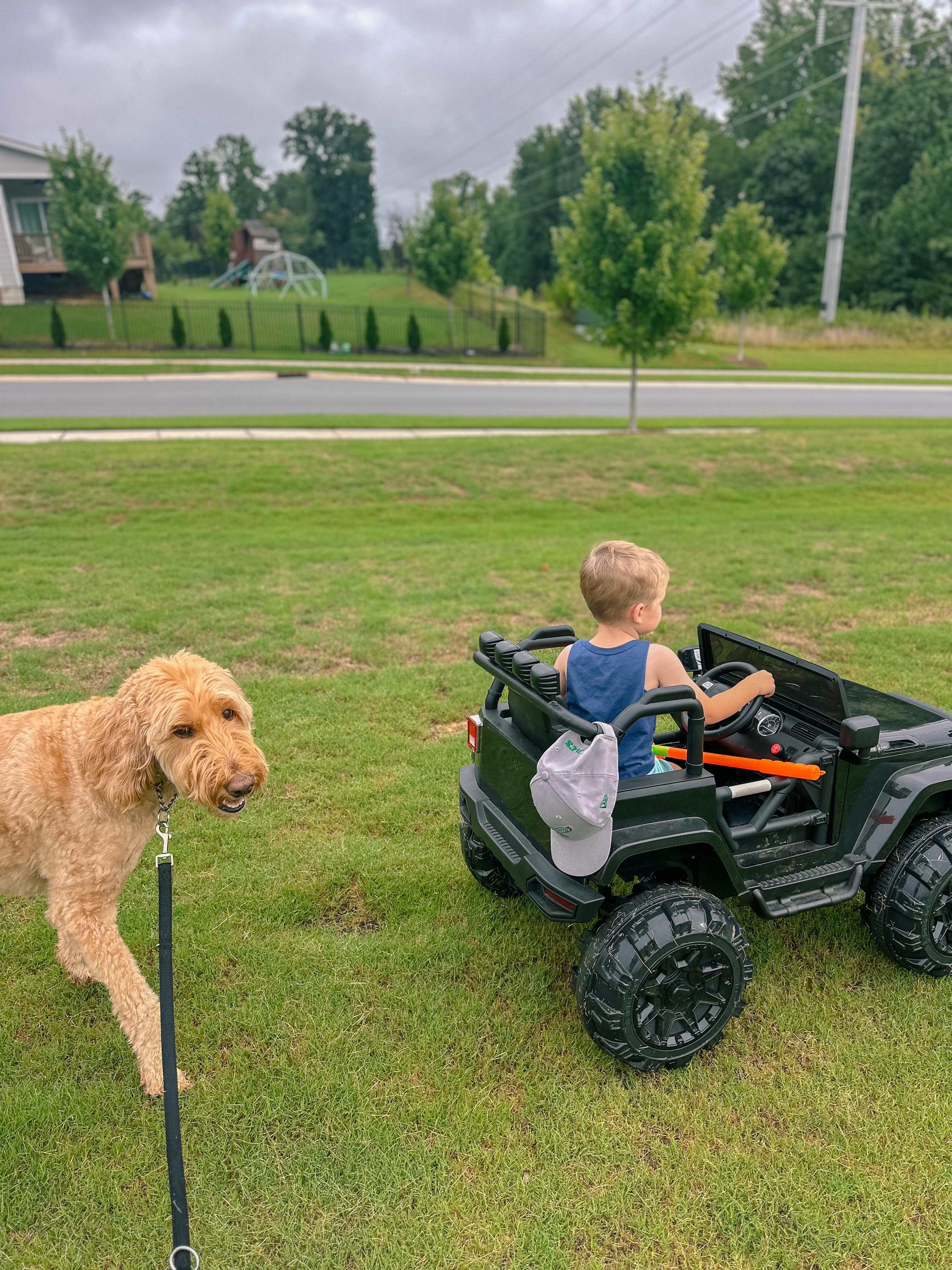 housecleaning, house clean, tidy up, lifestyle, motherhood, simple, toddler mom, cleaning tips, organized space, toy rotation