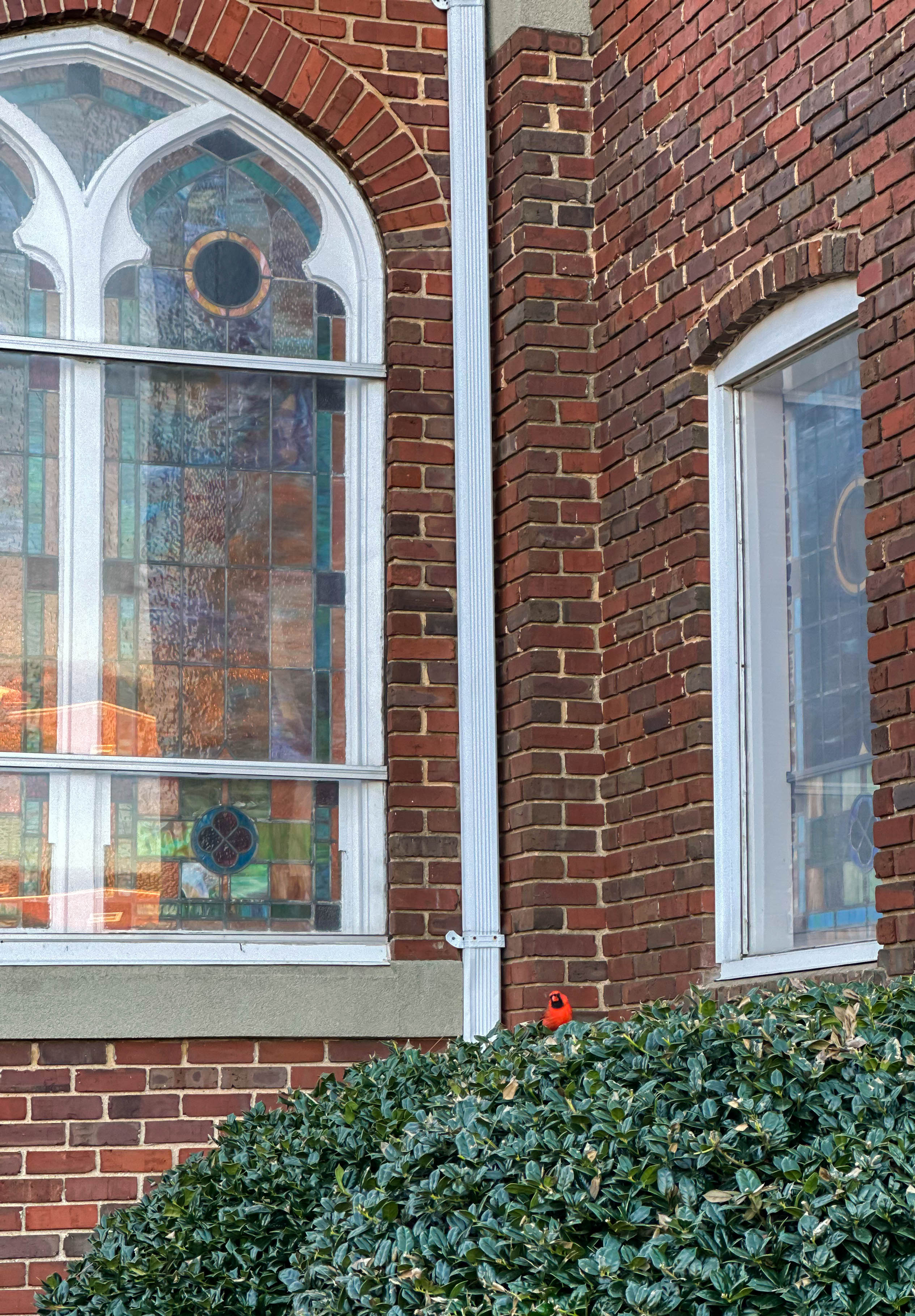 winter, mom life, pregnancy, january, things to do, fort mill, charlotte, cookies, baking, healthy, meals, dinner, what to eat, football season, salads, breakfast spots, matcha, coffee, parm, swim lessons, lifestyle blogger, motherhood blog, home cleaning, pad thai, life with a toddler, pregnancy updates