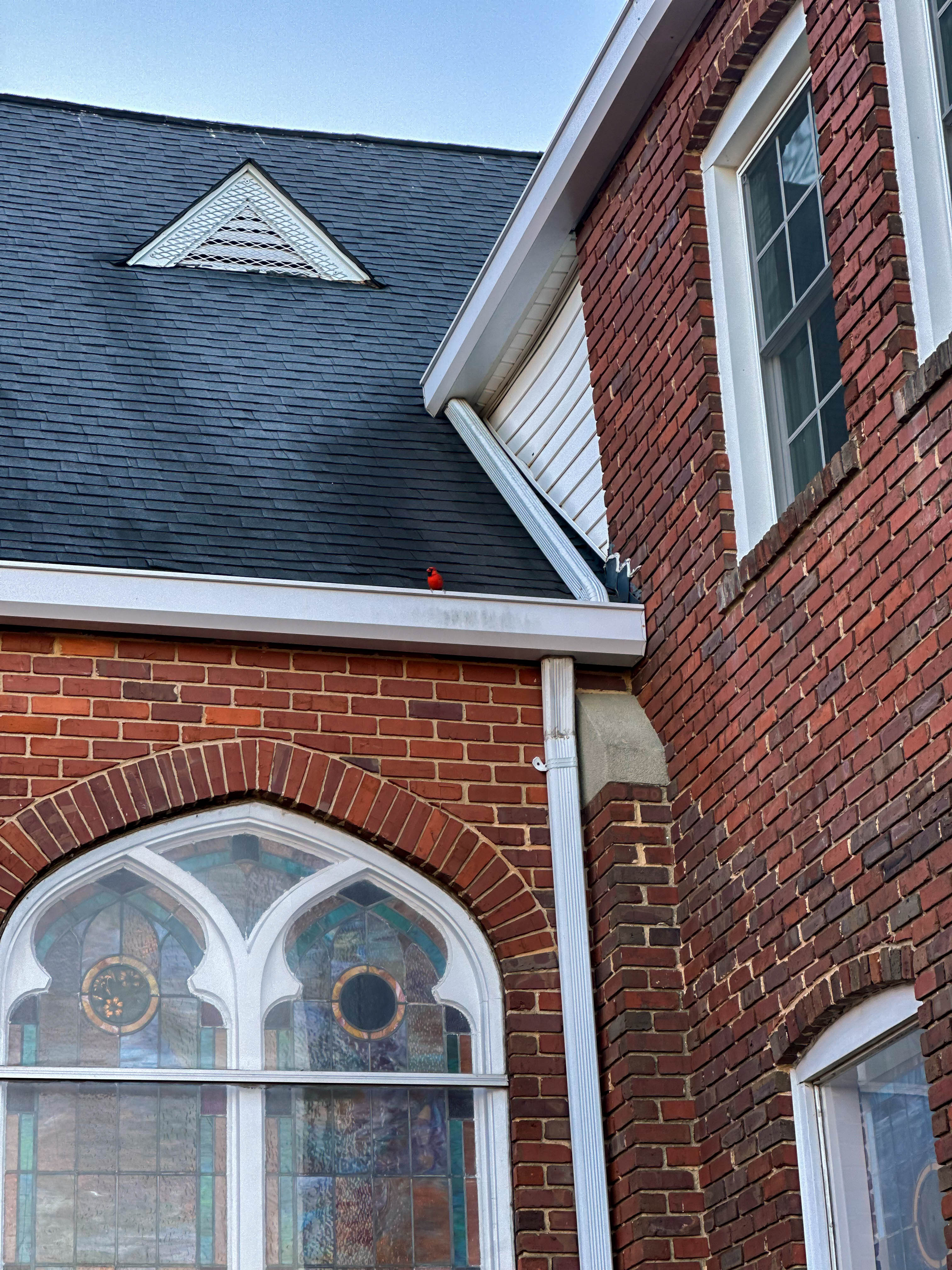 winter, mom life, pregnancy, january, things to do, fort mill, charlotte, cookies, baking, healthy, meals, dinner, what to eat, football season, salads, breakfast spots, matcha, coffee, parm, swim lessons, lifestyle blogger, motherhood blog, home cleaning, pad thai, life with a toddler, pregnancy updates